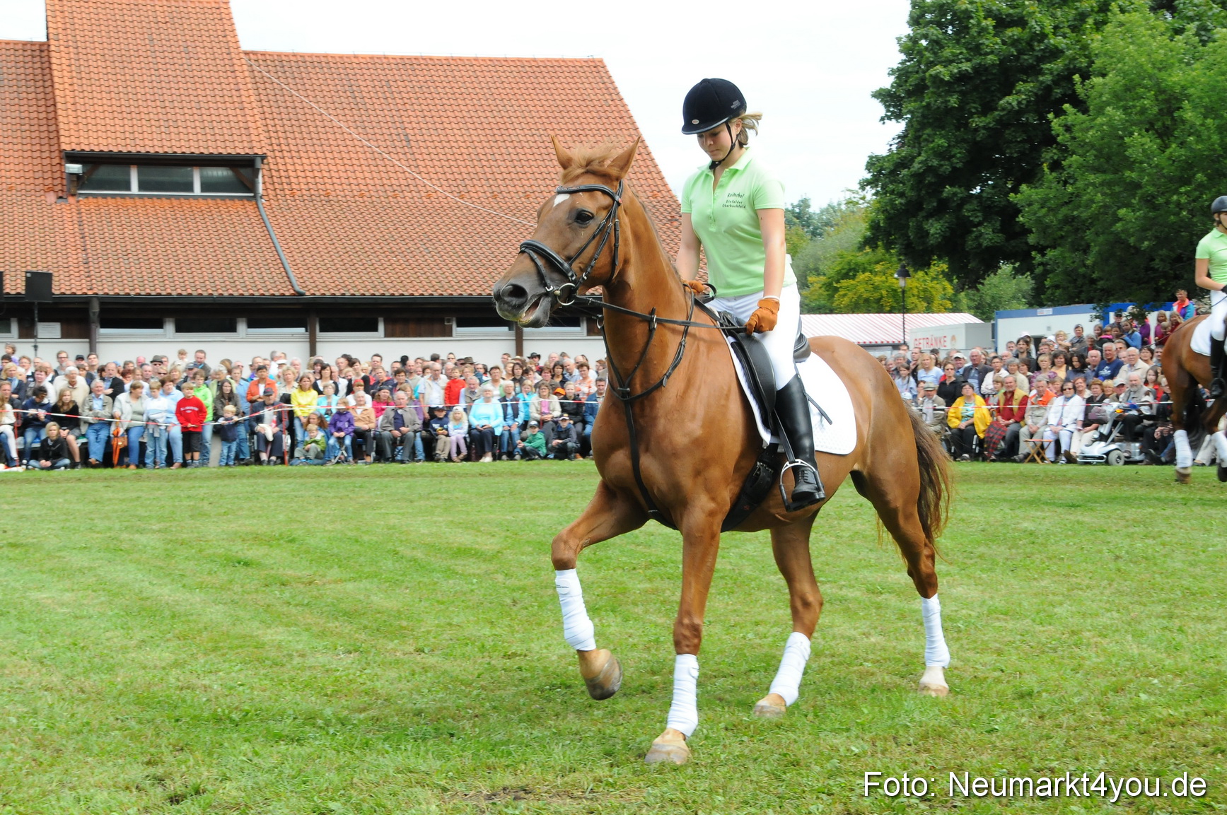 Pferdeschau Volksfest Neumarkt 160810 0125
