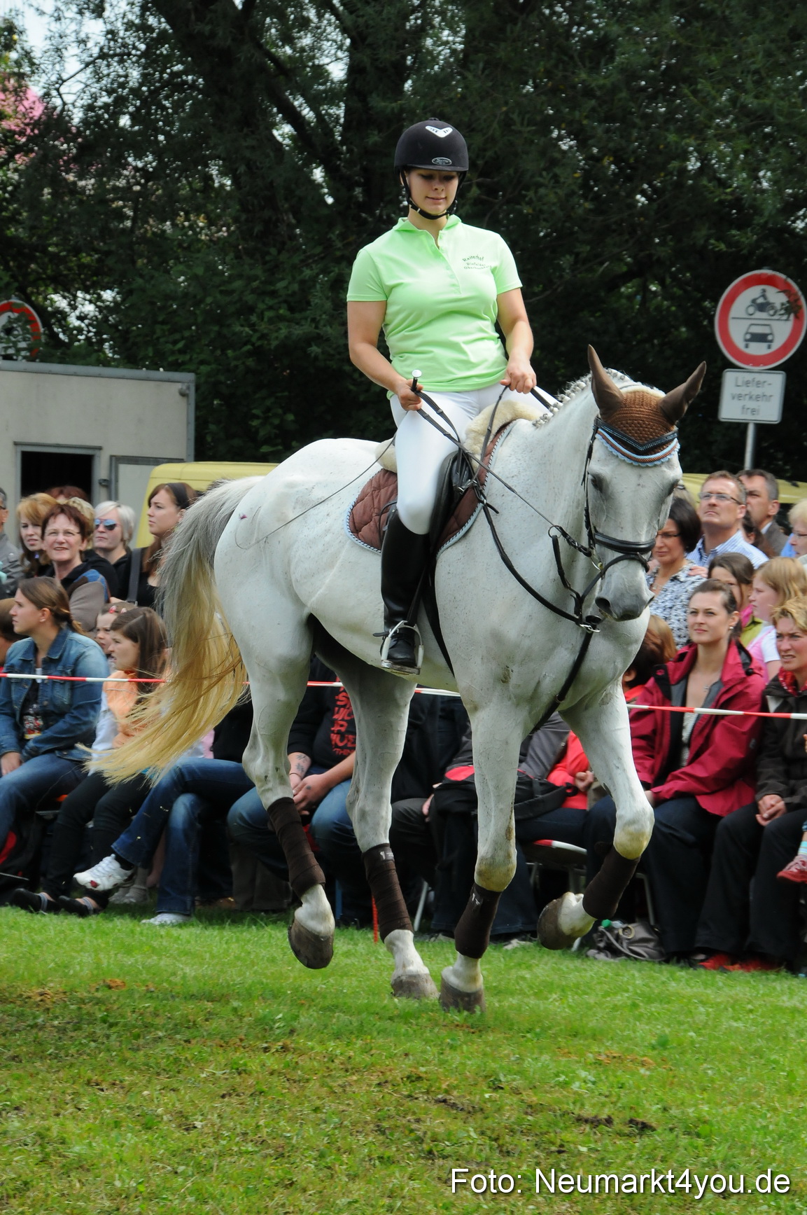 Pferdeschau Volksfest Neumarkt 160810 0126