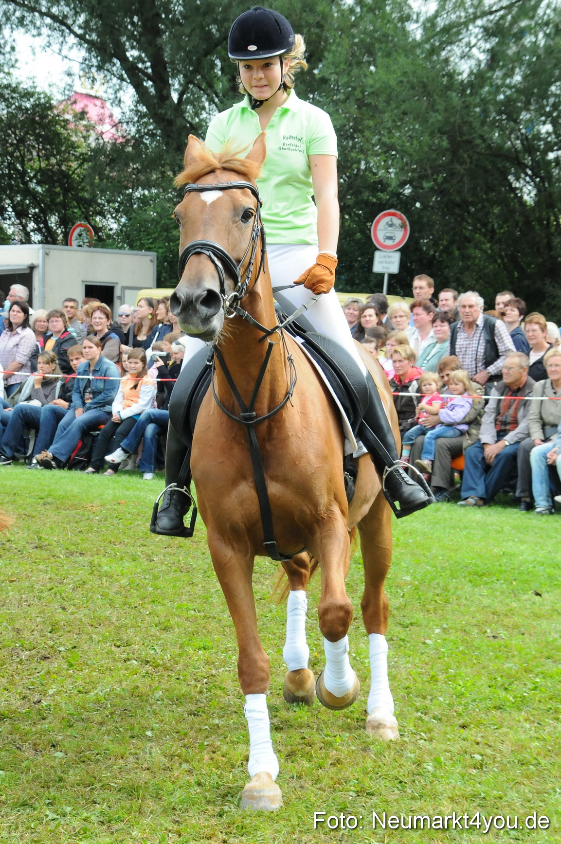 Pferdeschau Volksfest Neumarkt 160810 0127