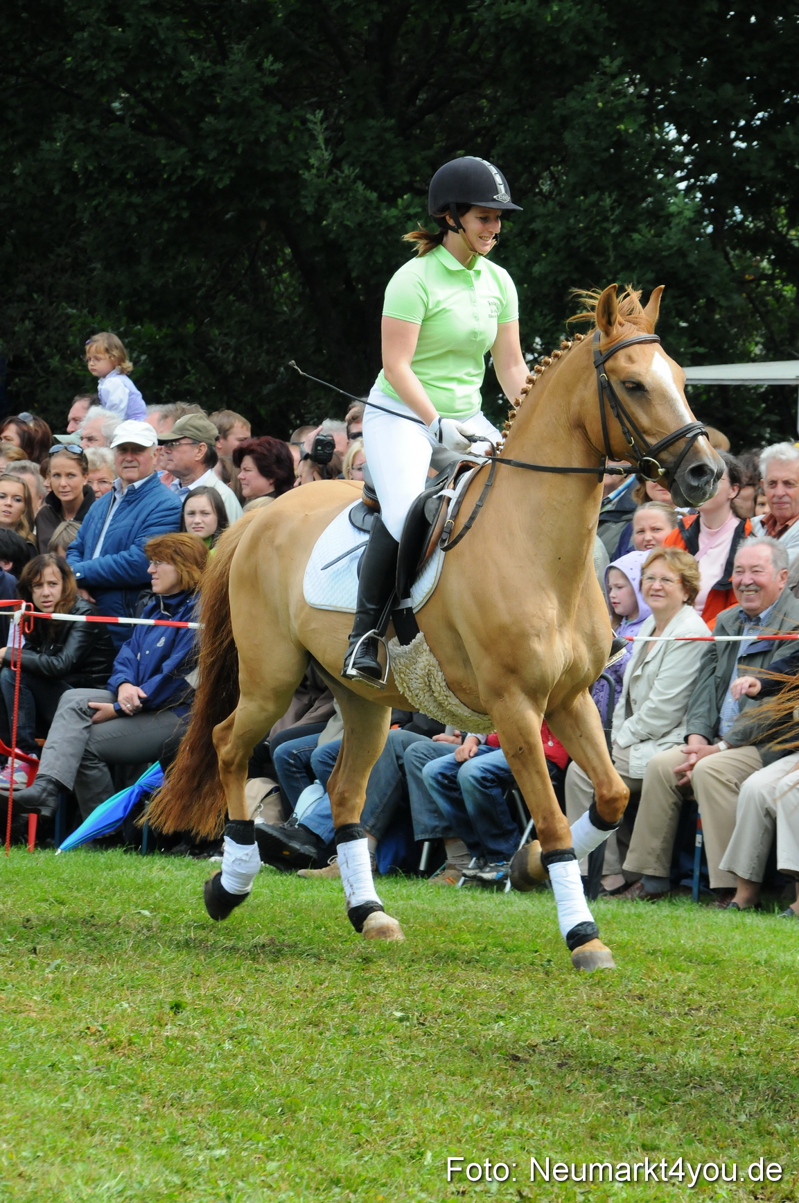 Pferdeschau Volksfest Neumarkt 160810 0128