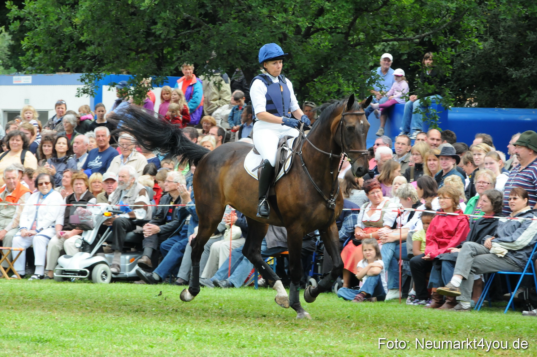 Pferdeschau Volksfest Neumarkt 160810 0129