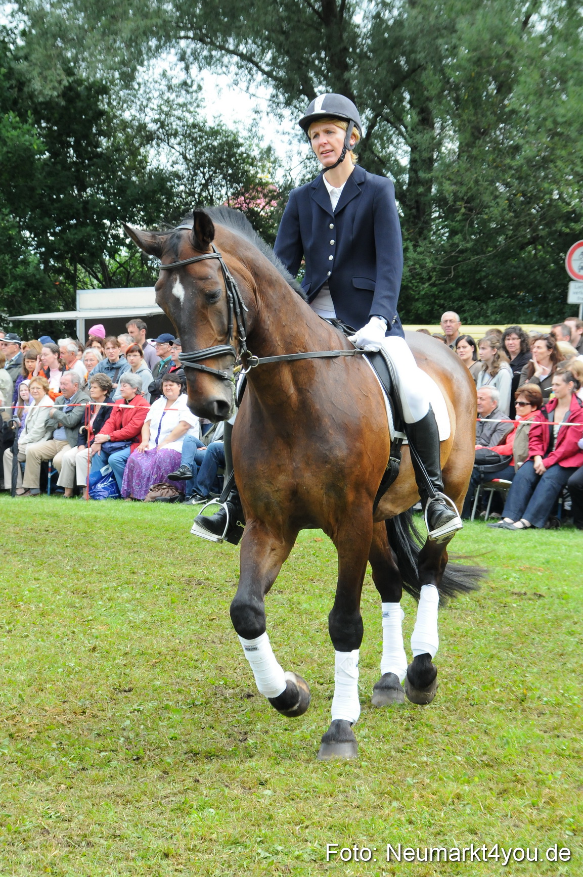Pferdeschau Volksfest Neumarkt 160810 0130