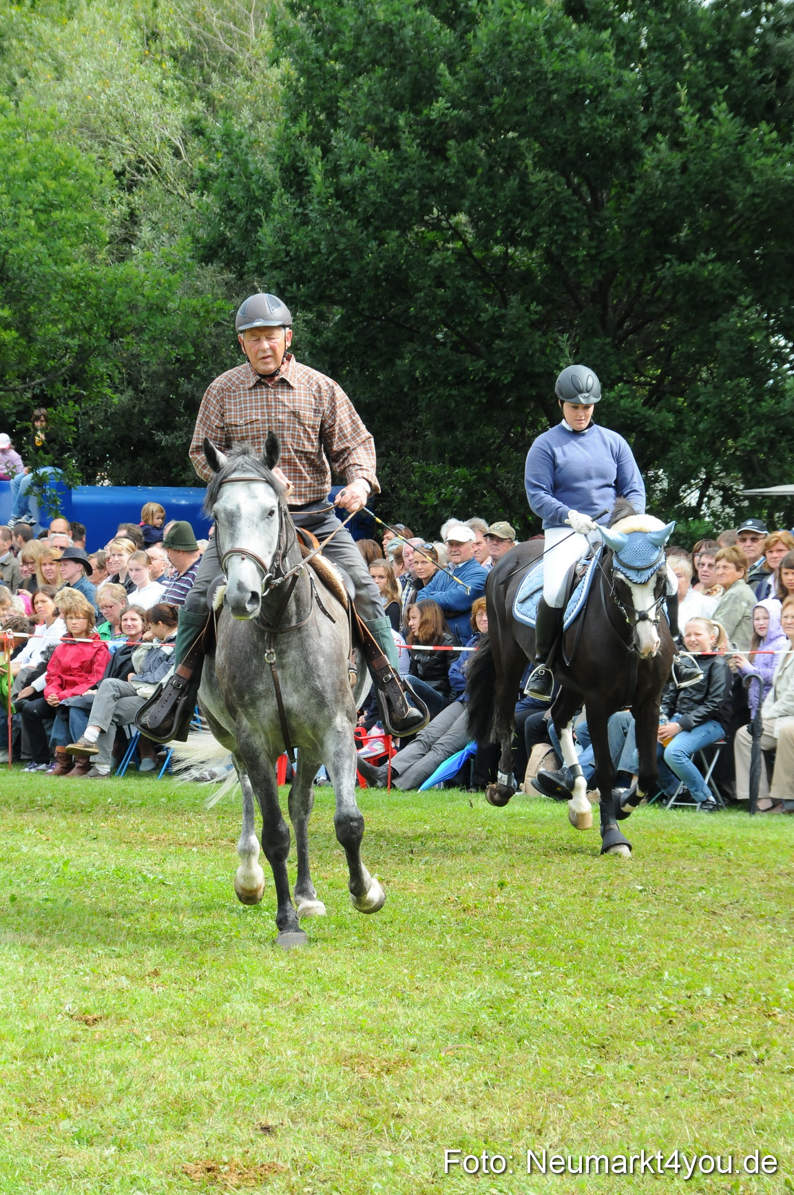 Pferdeschau Volksfest Neumarkt 160810 0131