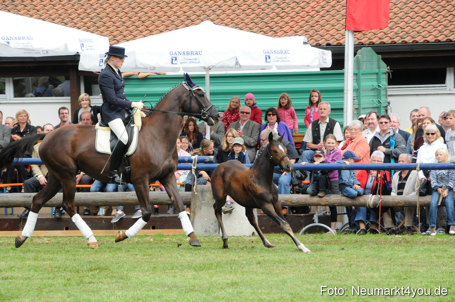 Pferdeschau Volksfest Neumarkt 160810 0132