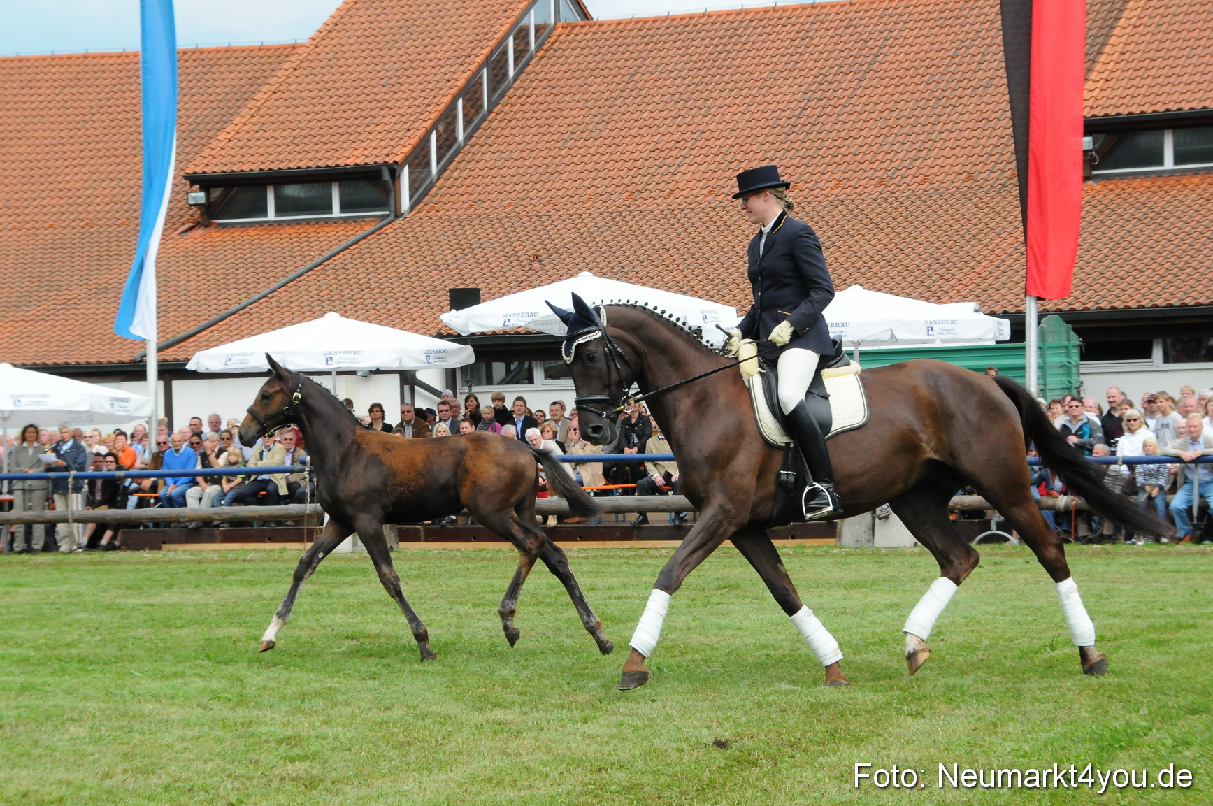 Pferdeschau Volksfest Neumarkt 160810 0133