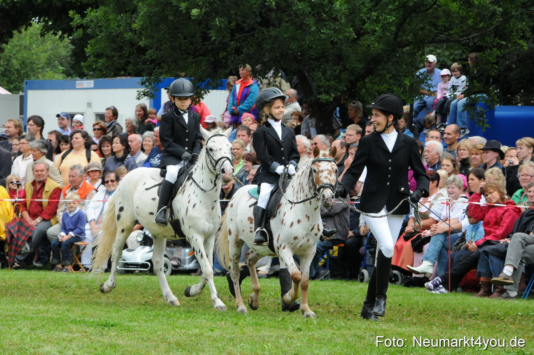 Pferdeschau Volksfest Neumarkt 160810 0134
