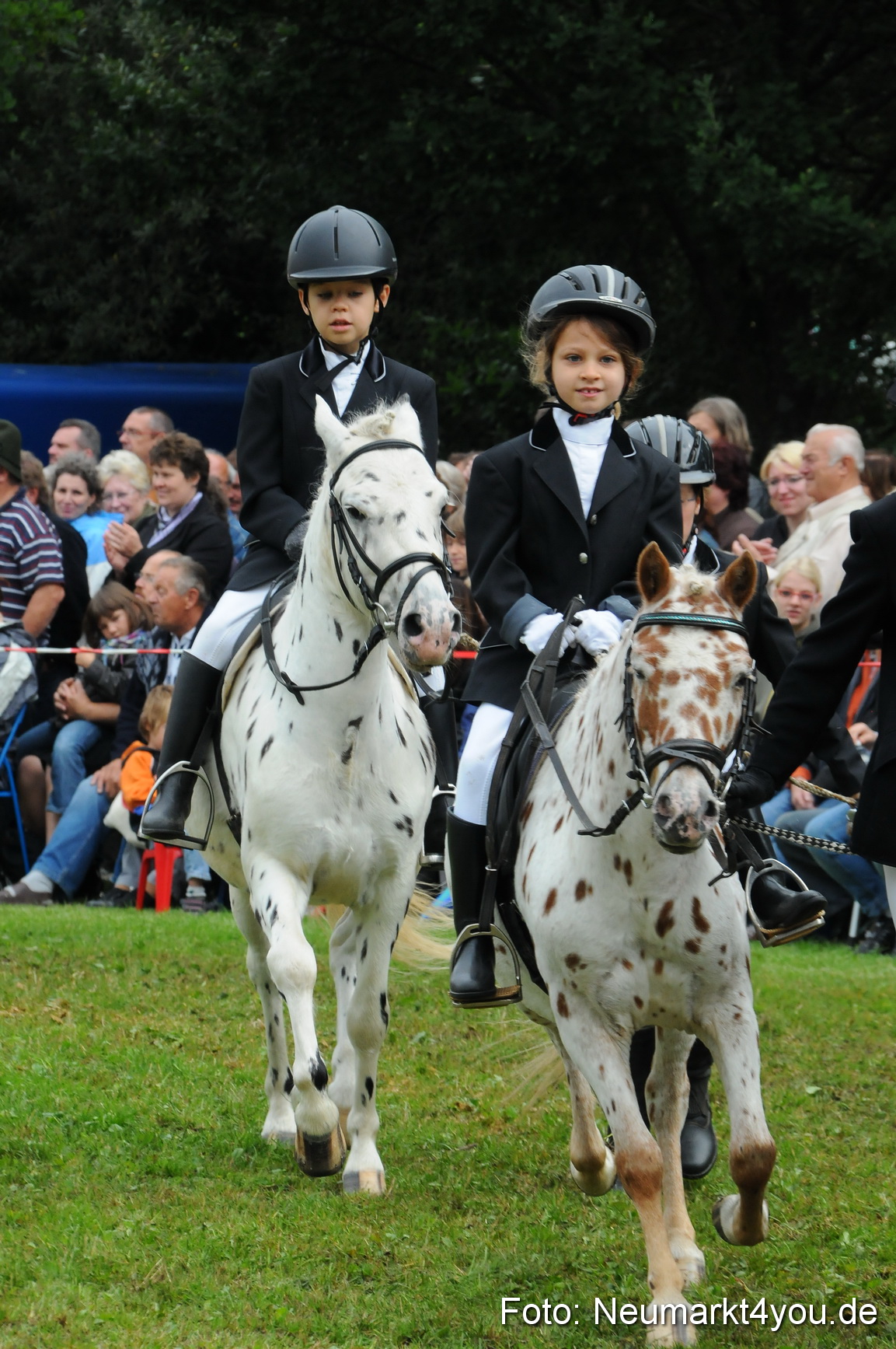 Pferdeschau Volksfest Neumarkt 160810 0135
