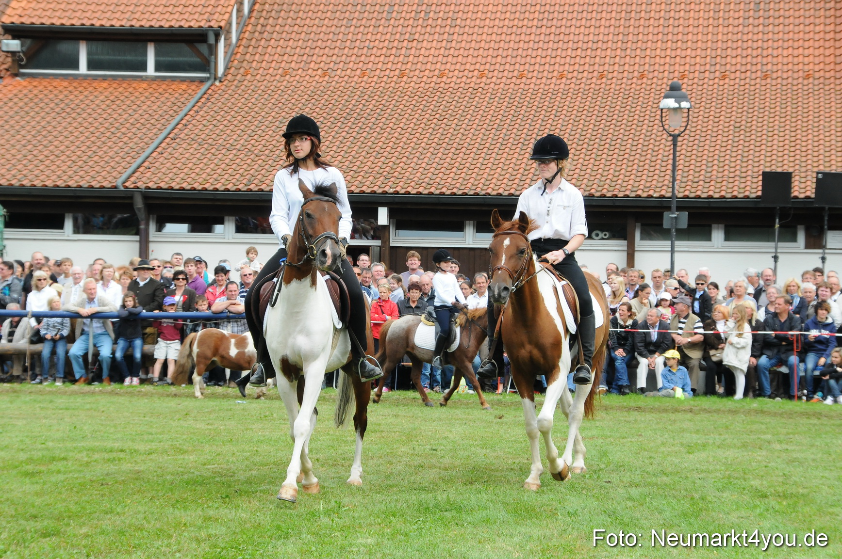 Pferdeschau Volksfest Neumarkt 160810 0136