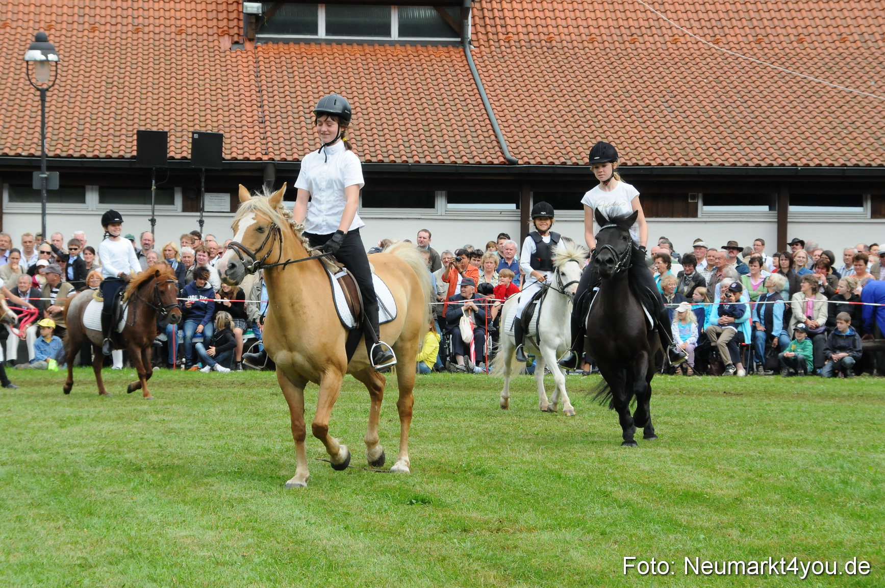 Pferdeschau Volksfest Neumarkt 160810 0137