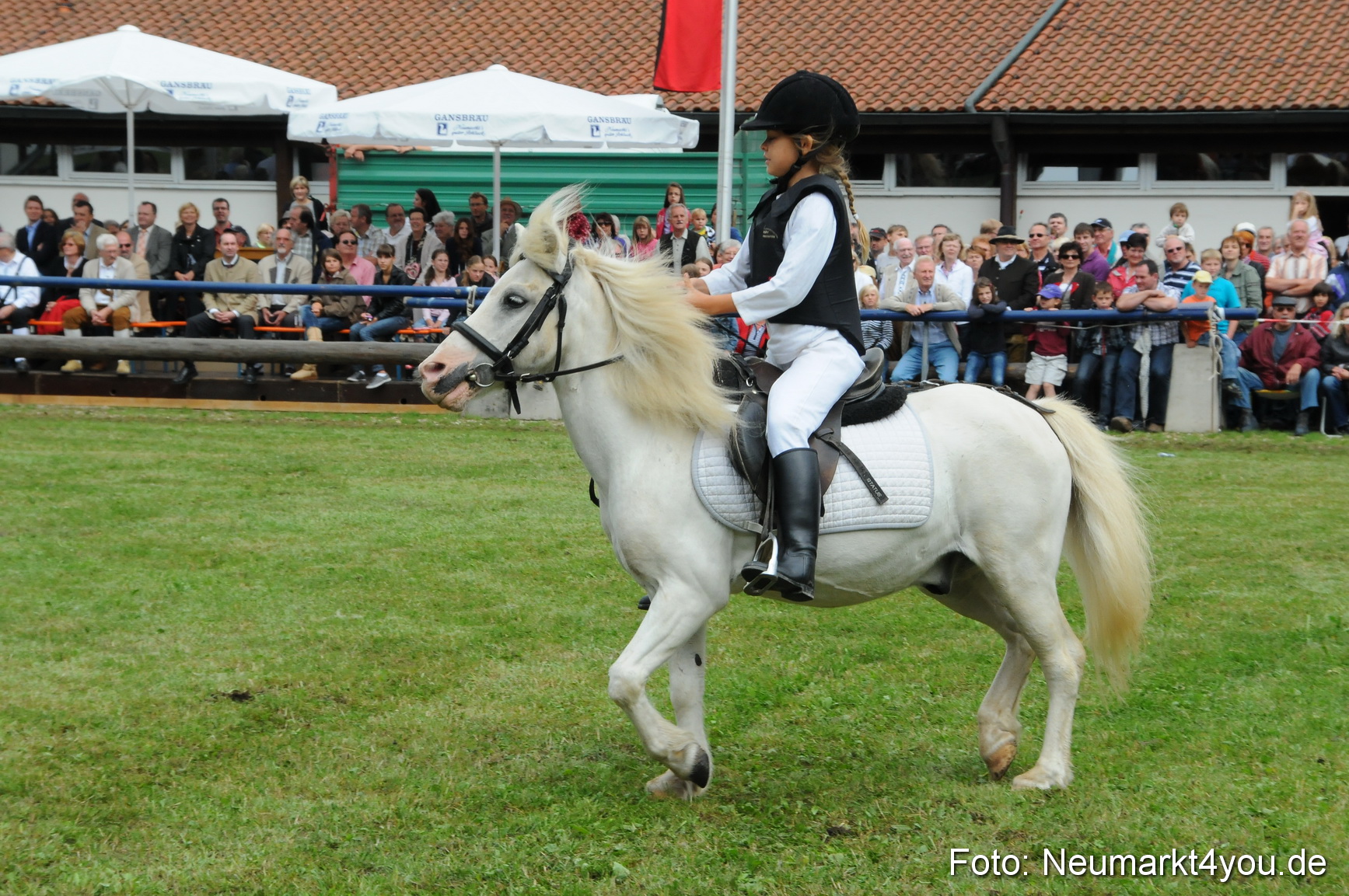 Pferdeschau Volksfest Neumarkt 160810 0138