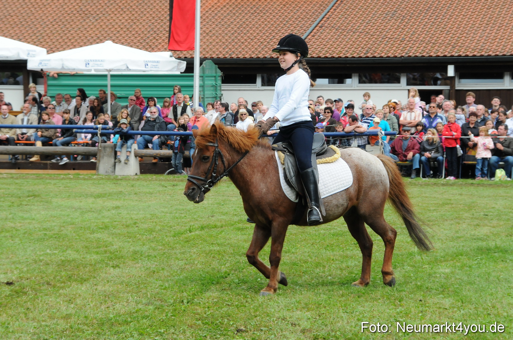 Pferdeschau Volksfest Neumarkt 160810 0139