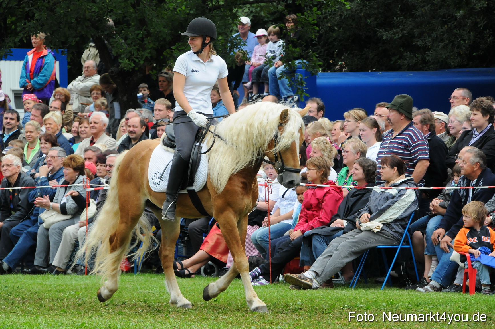 Pferdeschau Volksfest Neumarkt 160810 0140
