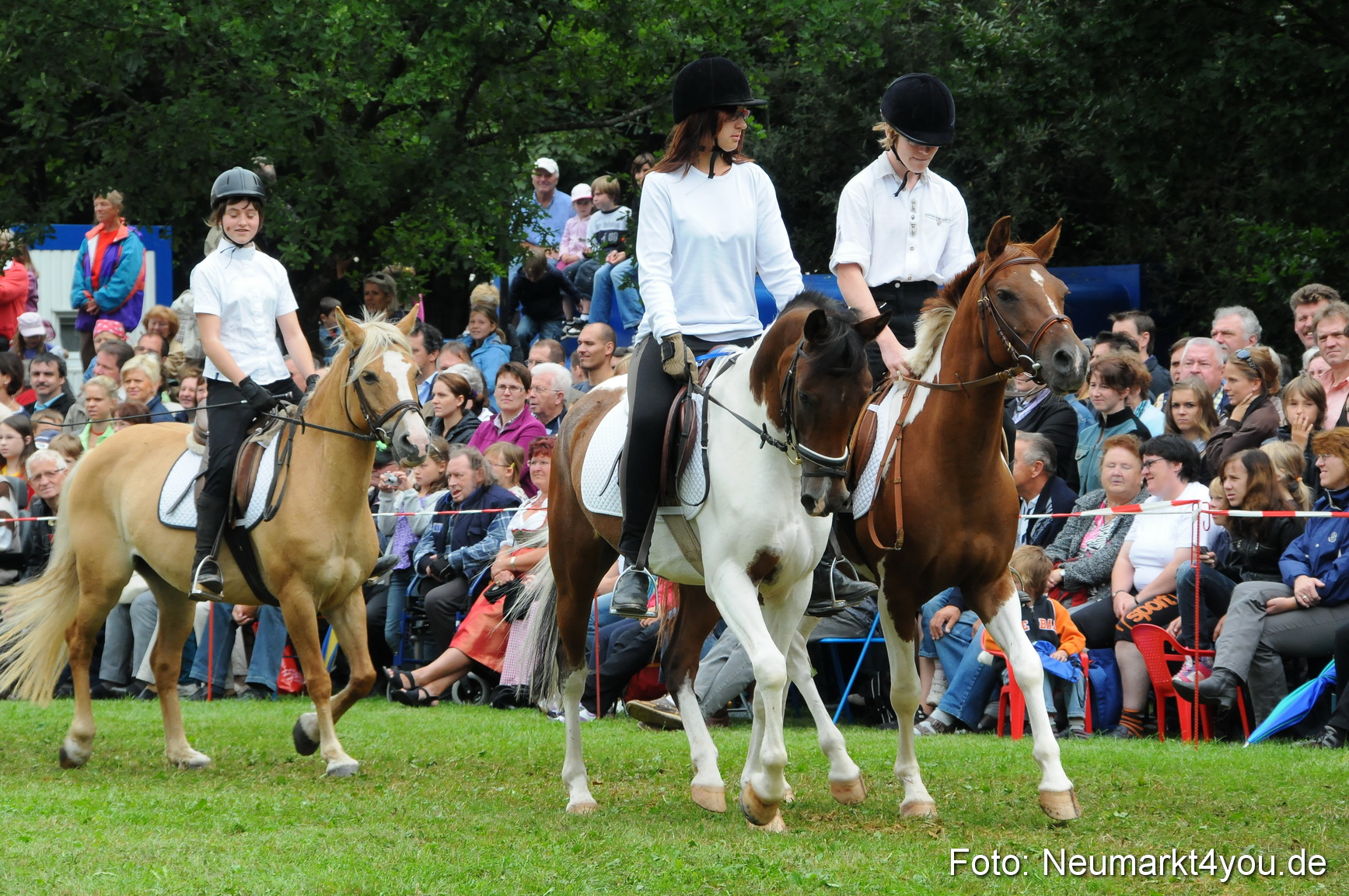 Pferdeschau Volksfest Neumarkt 160810 0141