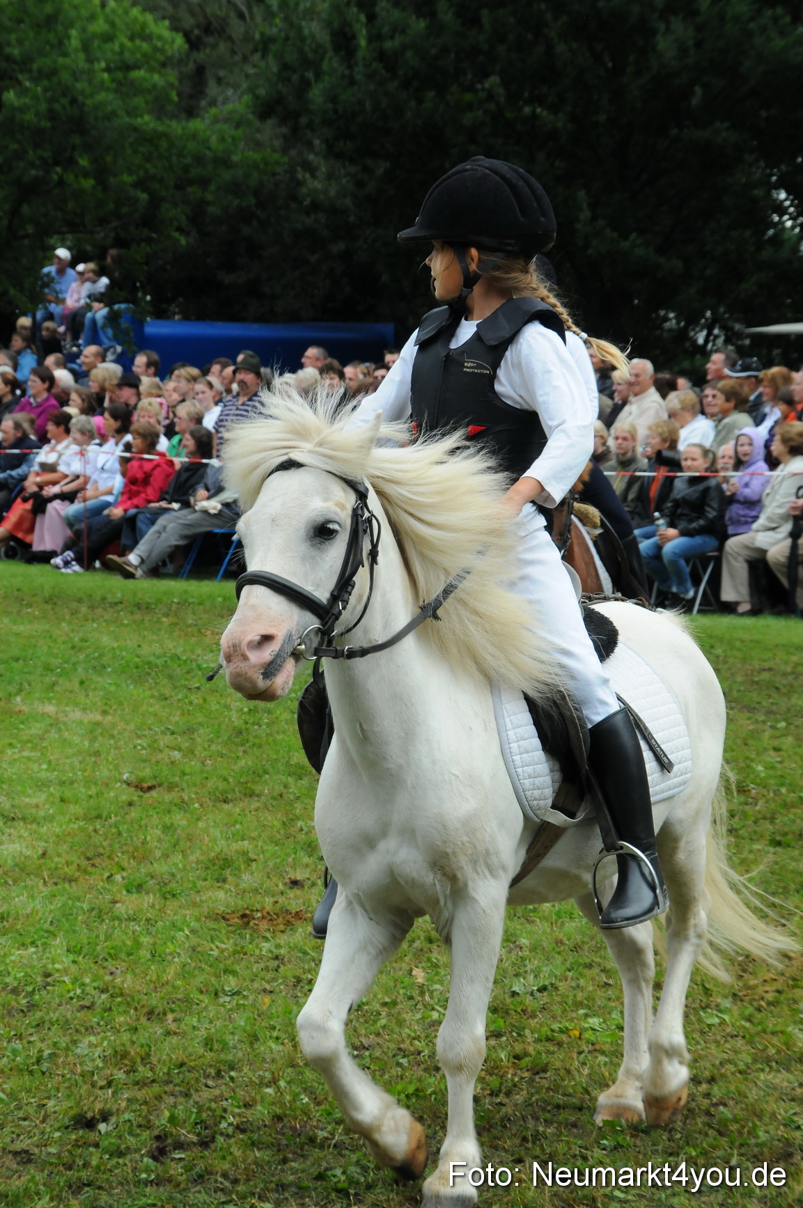Pferdeschau Volksfest Neumarkt 160810 0142