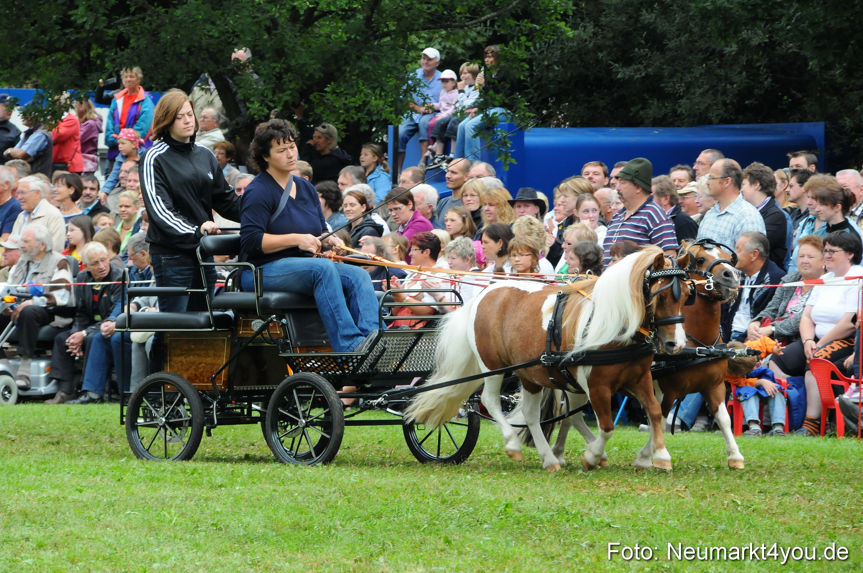 Pferdeschau Volksfest Neumarkt 160810 0144