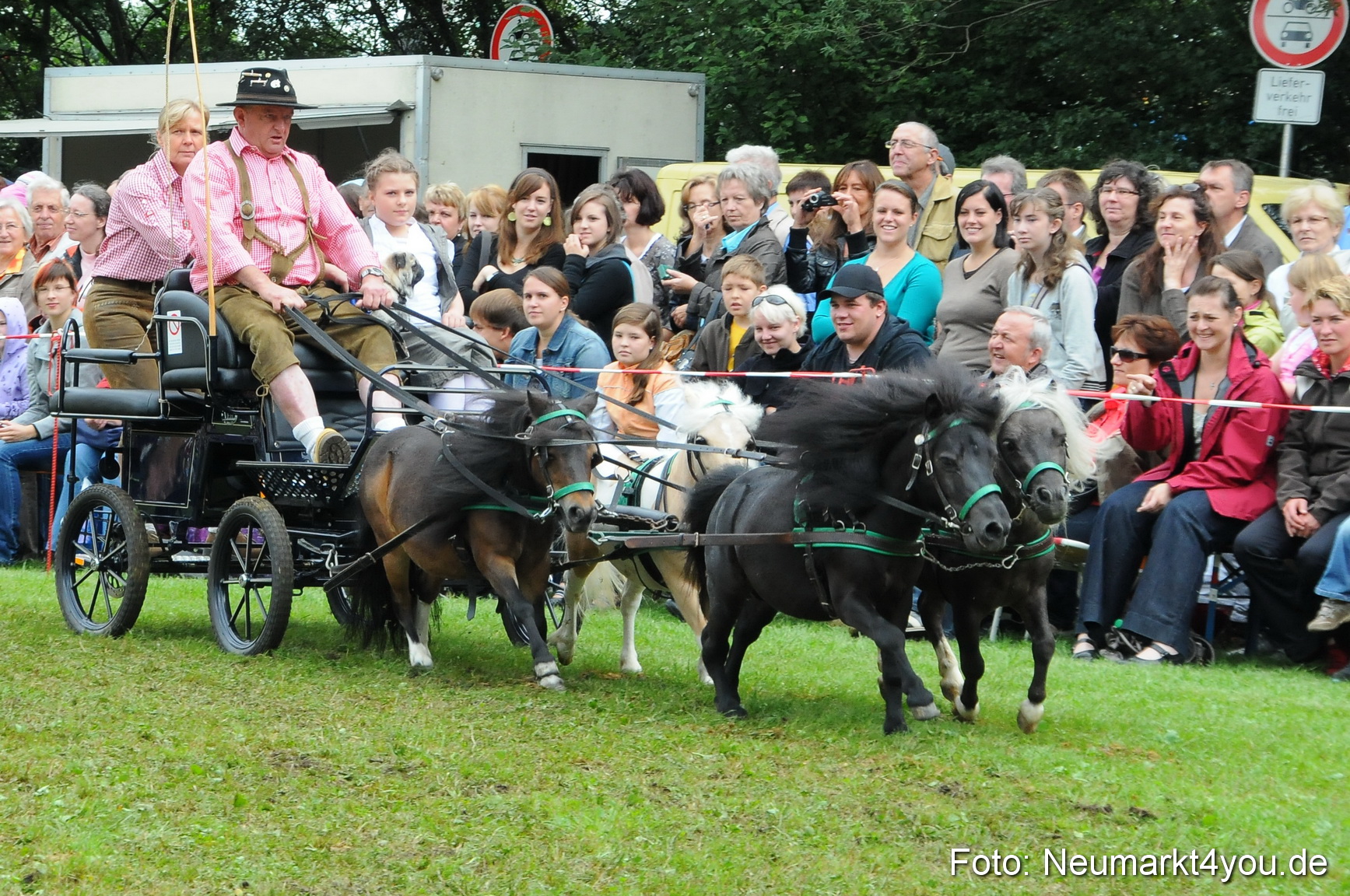 Pferdeschau Volksfest Neumarkt 160810 0145