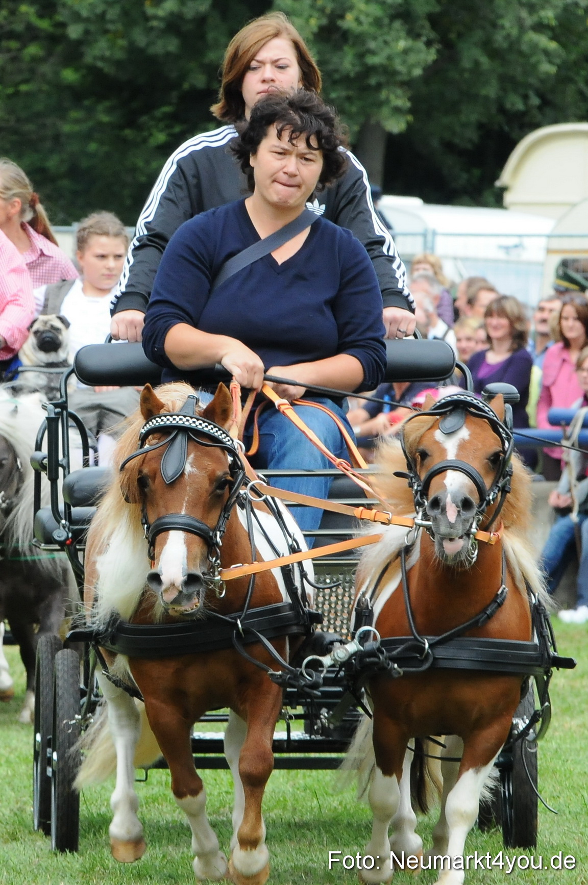 Pferdeschau Volksfest Neumarkt 160810 0147