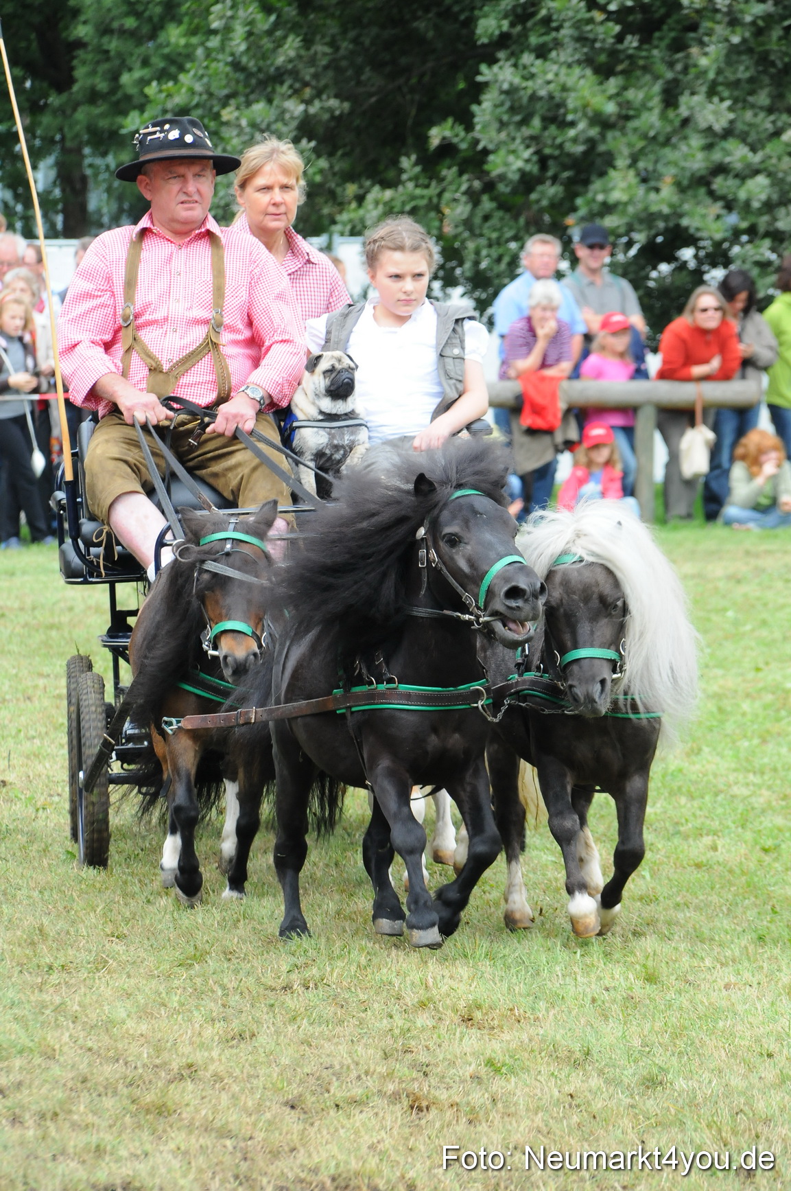 Pferdeschau Volksfest Neumarkt 160810 0148