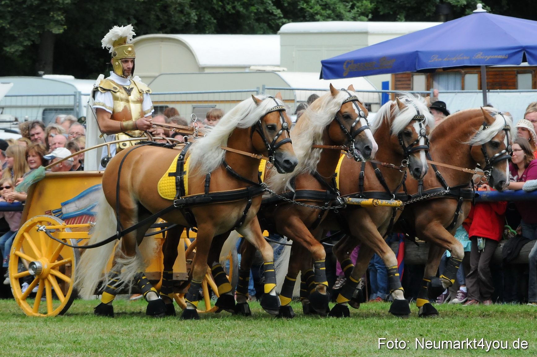 Pferdeschau Volksfest Neumarkt 160810 0150
