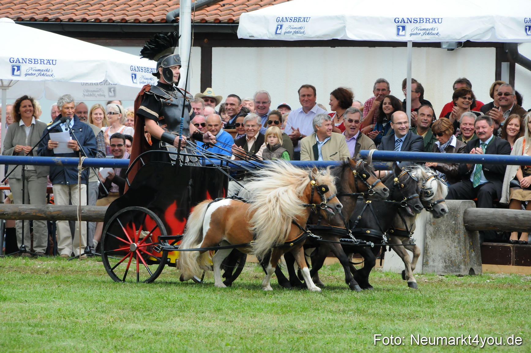 Pferdeschau Volksfest Neumarkt 160810 0151
