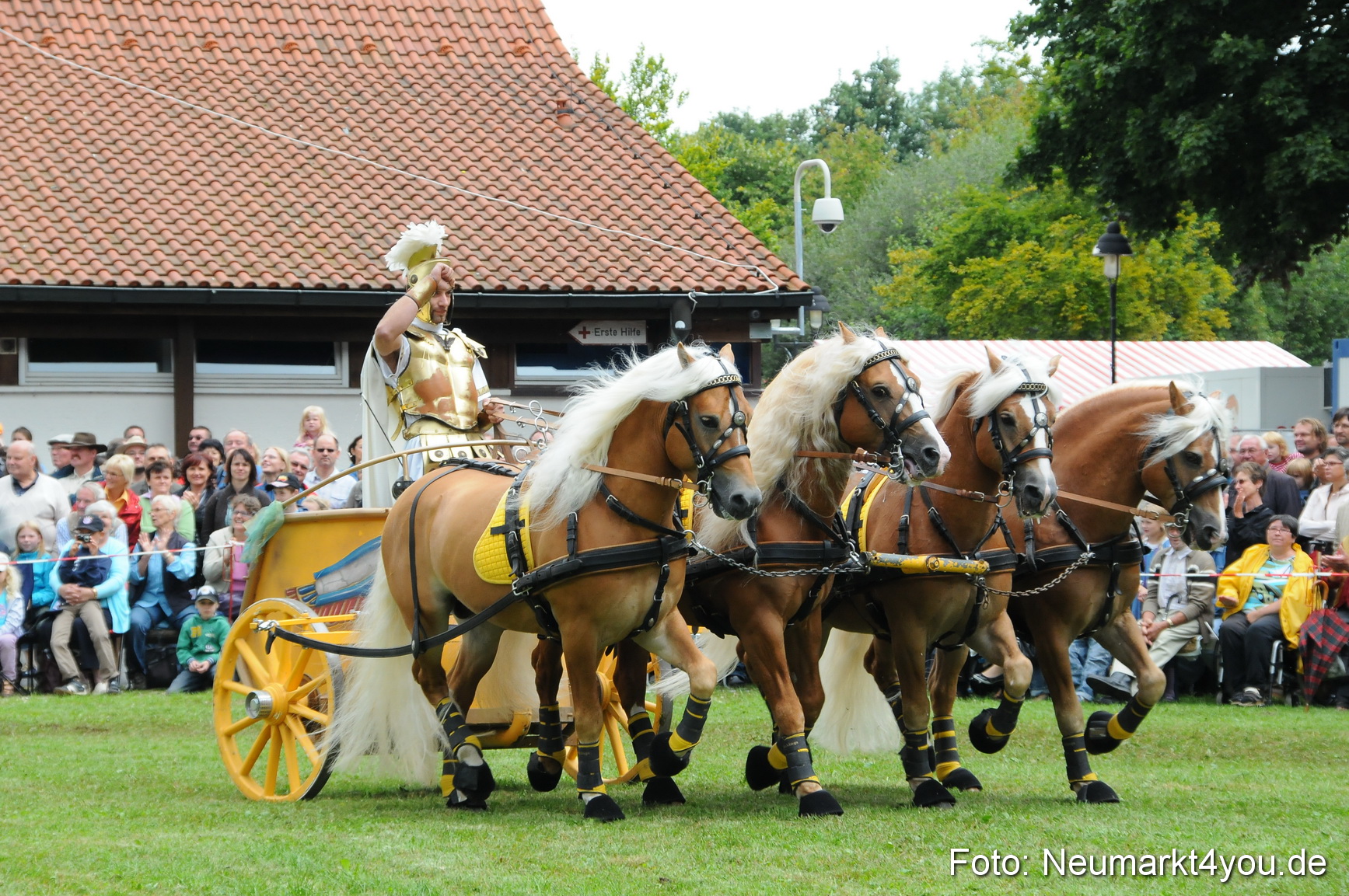 Pferdeschau Volksfest Neumarkt 160810 0152