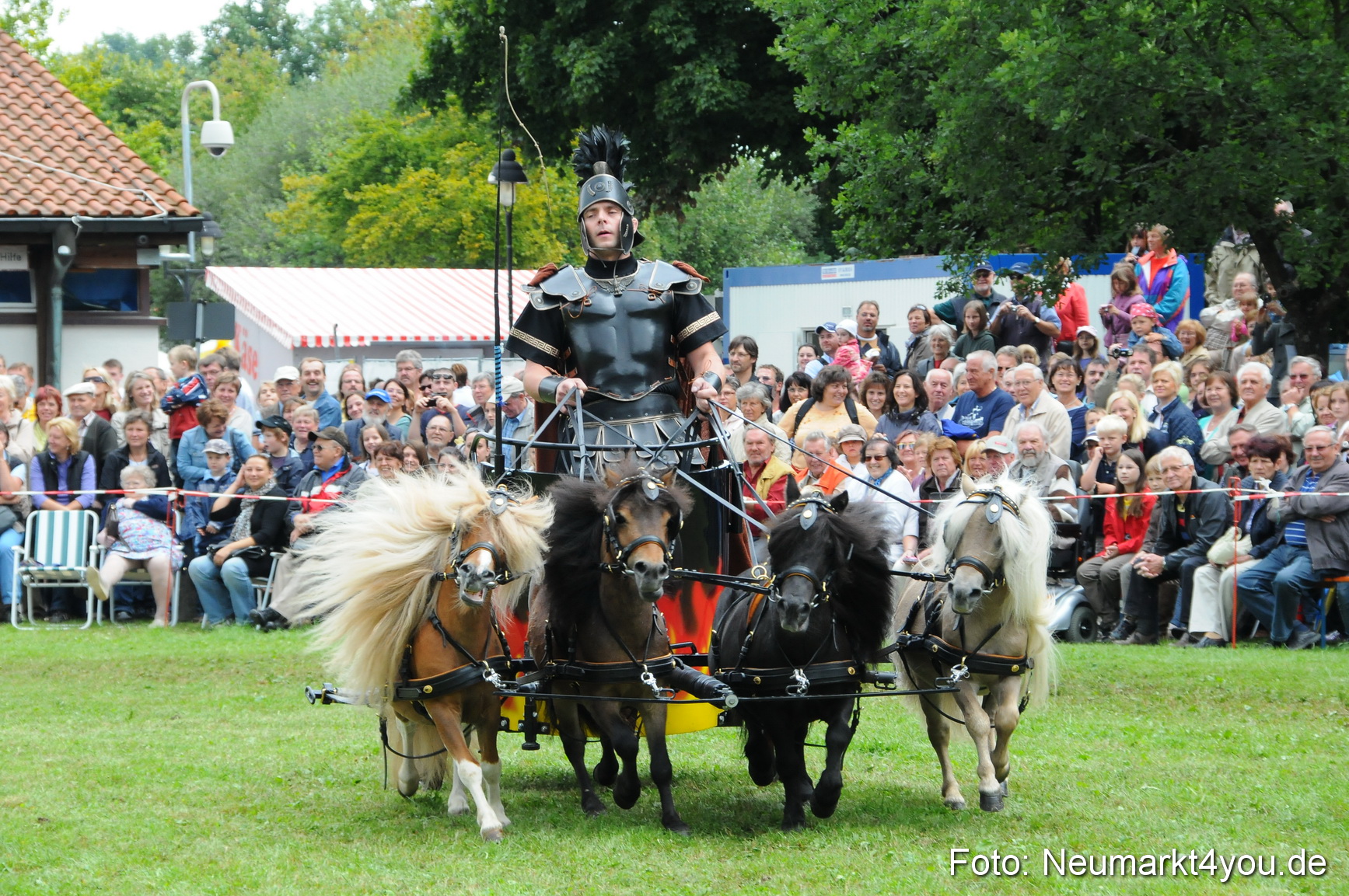 Pferdeschau Volksfest Neumarkt 160810 0153