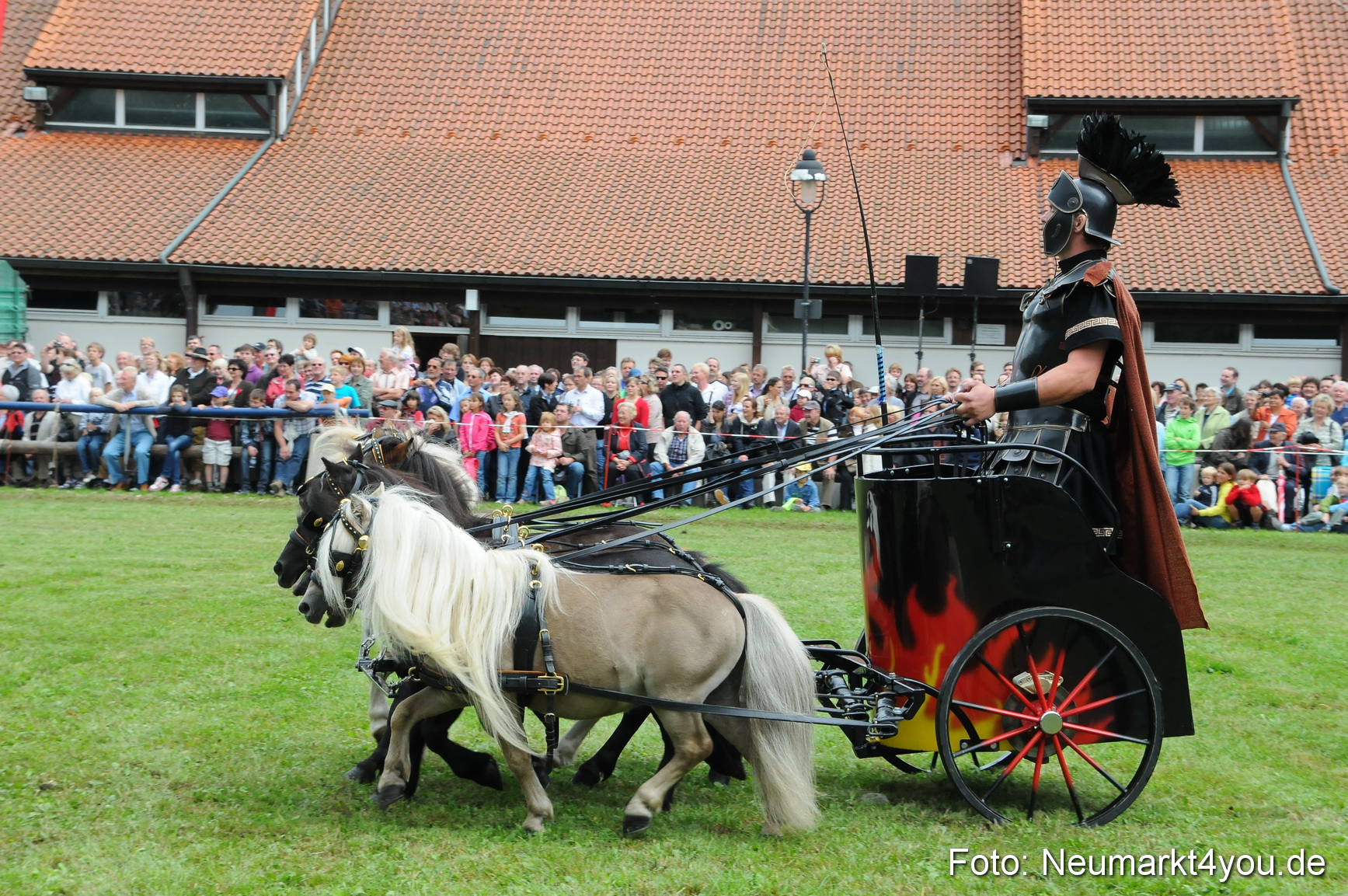 Pferdeschau Volksfest Neumarkt 160810 0154