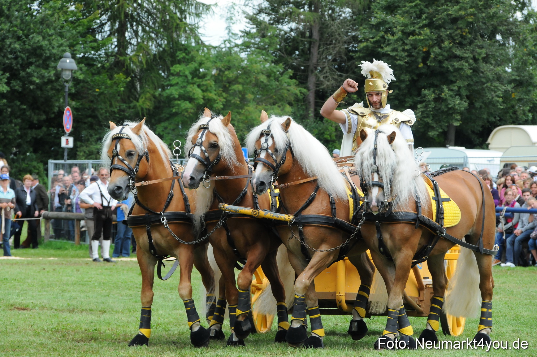 Pferdeschau Volksfest Neumarkt 160810 0155