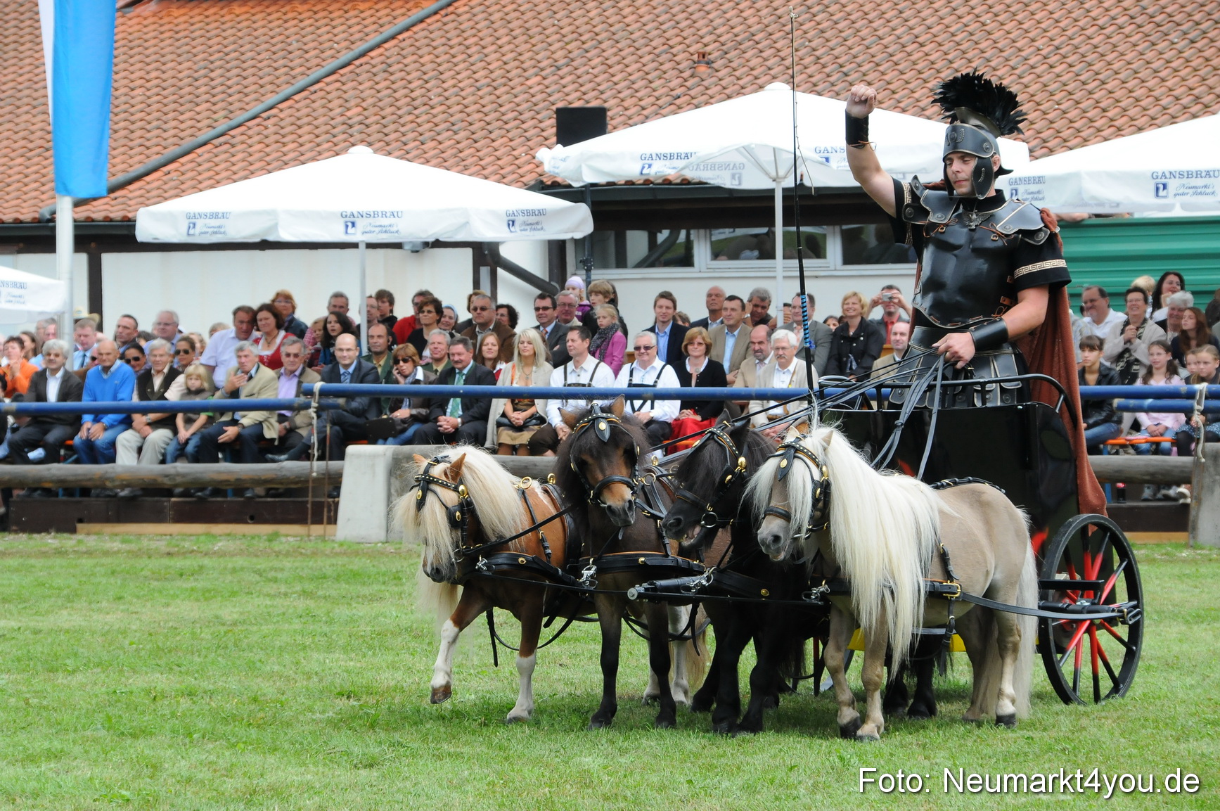 Pferdeschau Volksfest Neumarkt 160810 0156