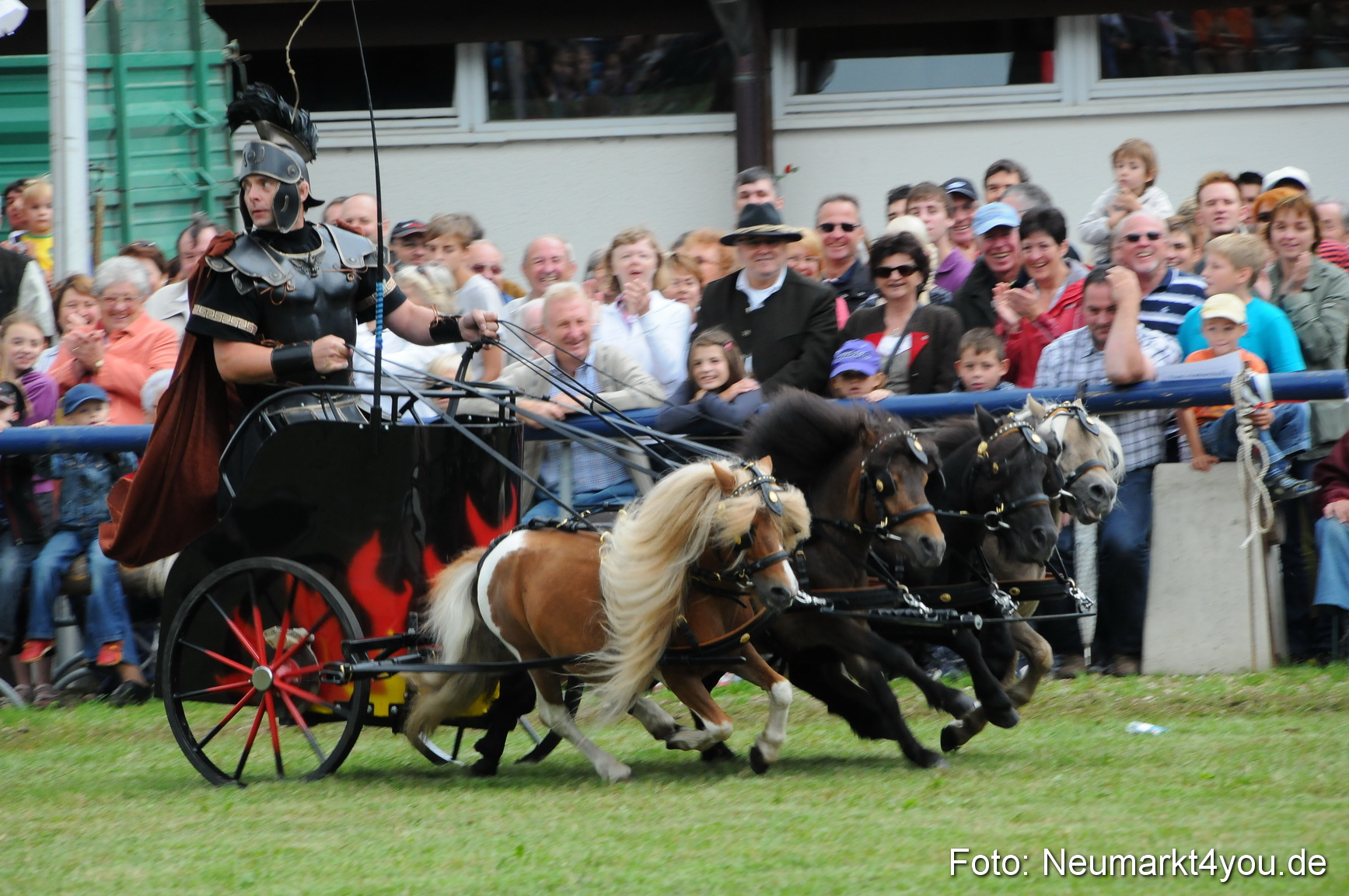 Pferdeschau Volksfest Neumarkt 160810 0158