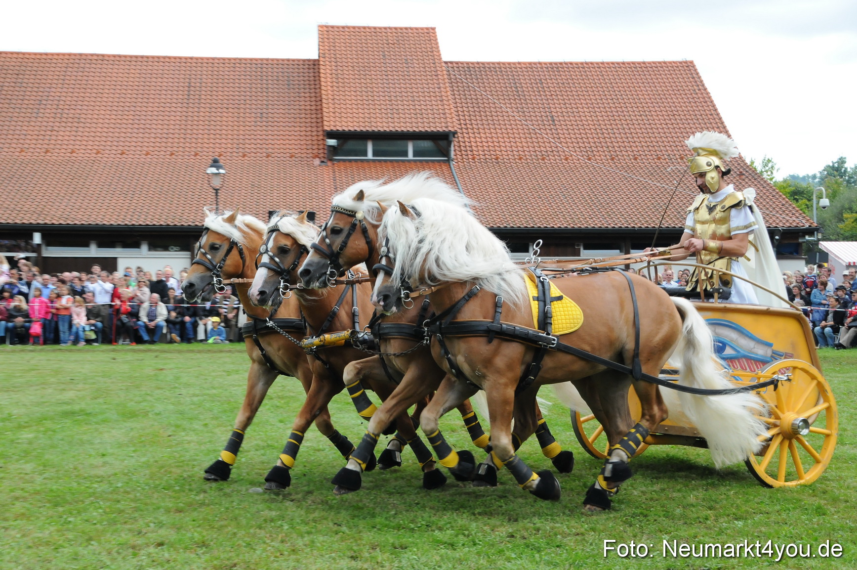 Pferdeschau Volksfest Neumarkt 160810 0159