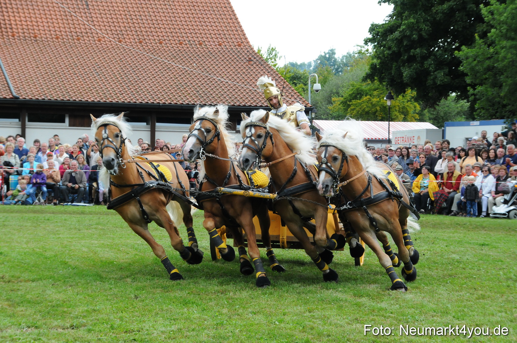 Pferdeschau Volksfest Neumarkt 160810 0160