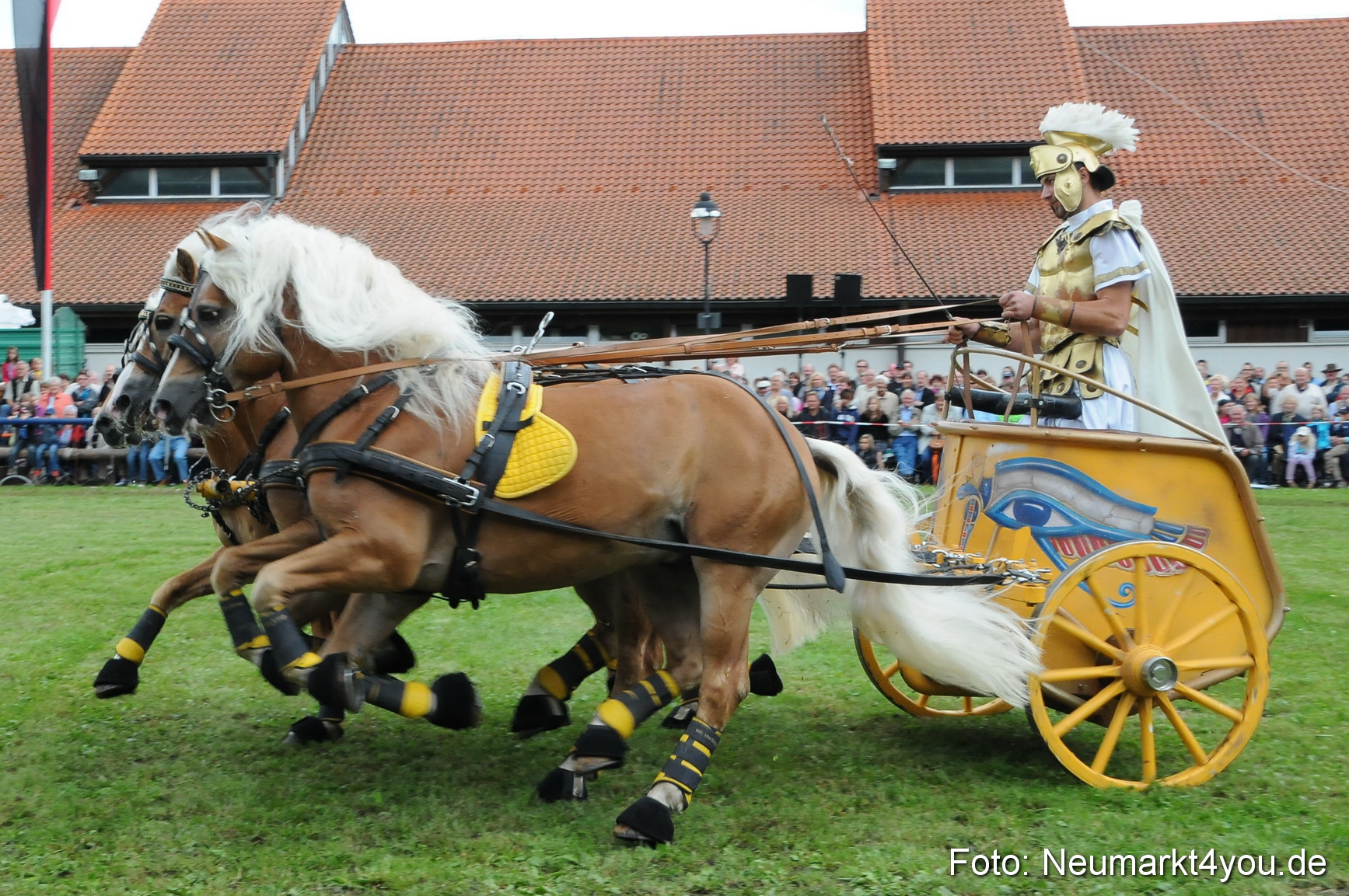 Pferdeschau Volksfest Neumarkt 160810 0161