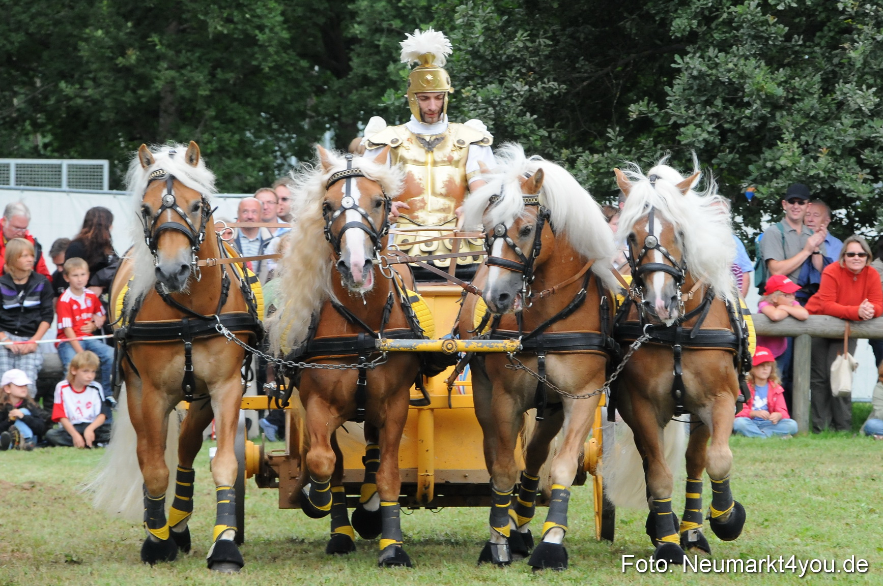Pferdeschau Volksfest Neumarkt 160810 0162