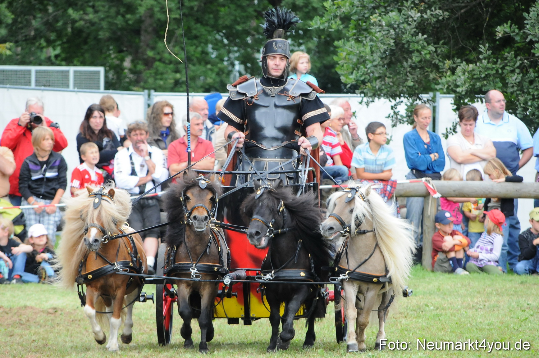 Pferdeschau Volksfest Neumarkt 160810 0163