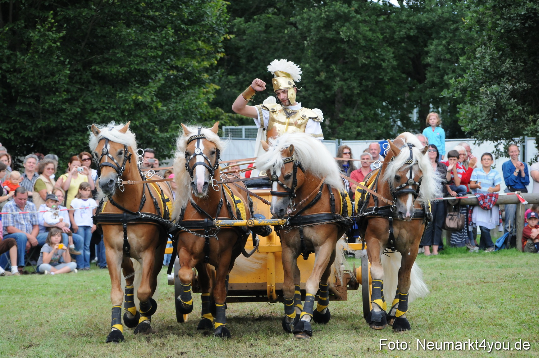 Pferdeschau Volksfest Neumarkt 160810 0164