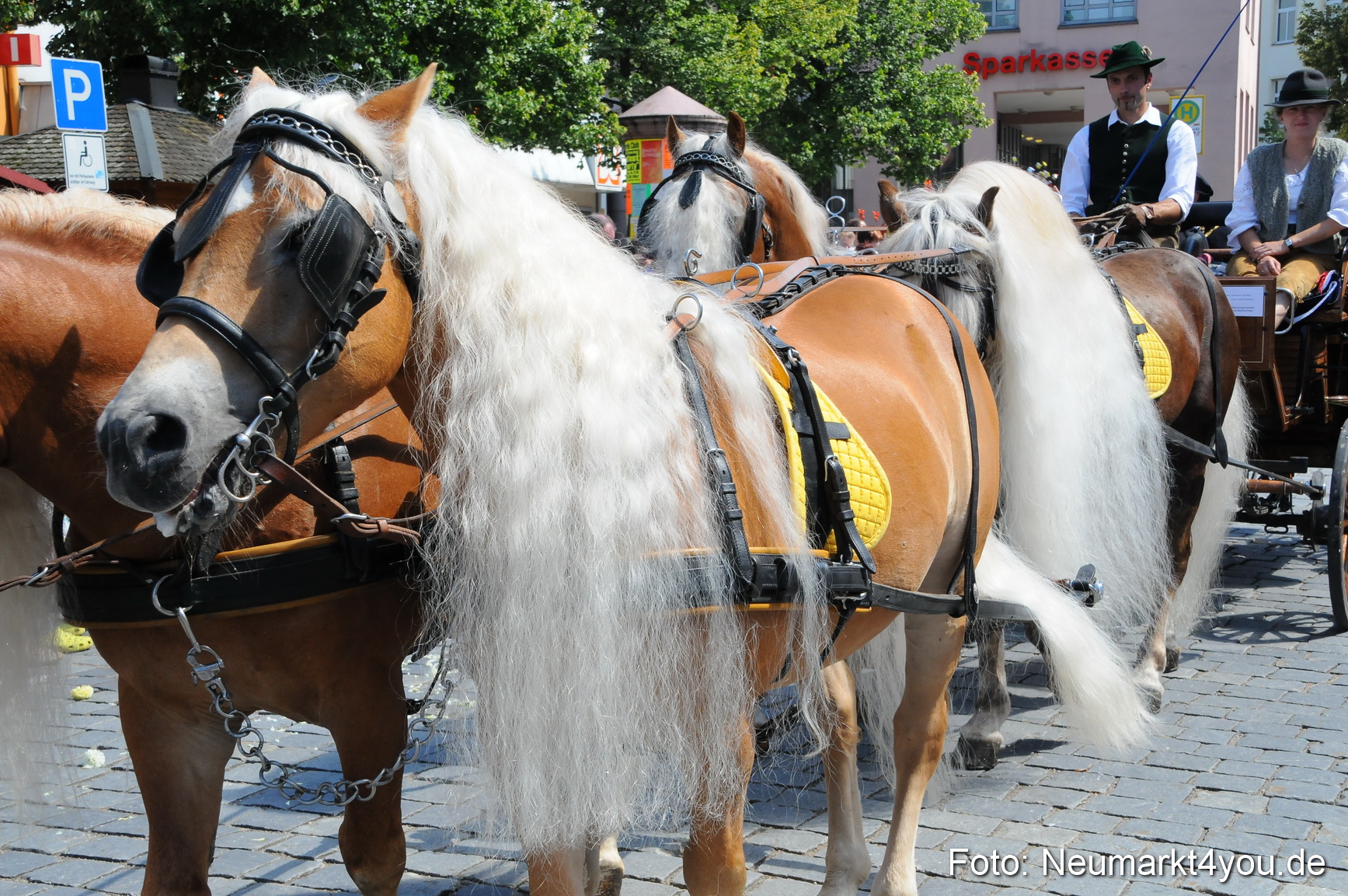 Volksfestzug Neumarkt 080810 0074