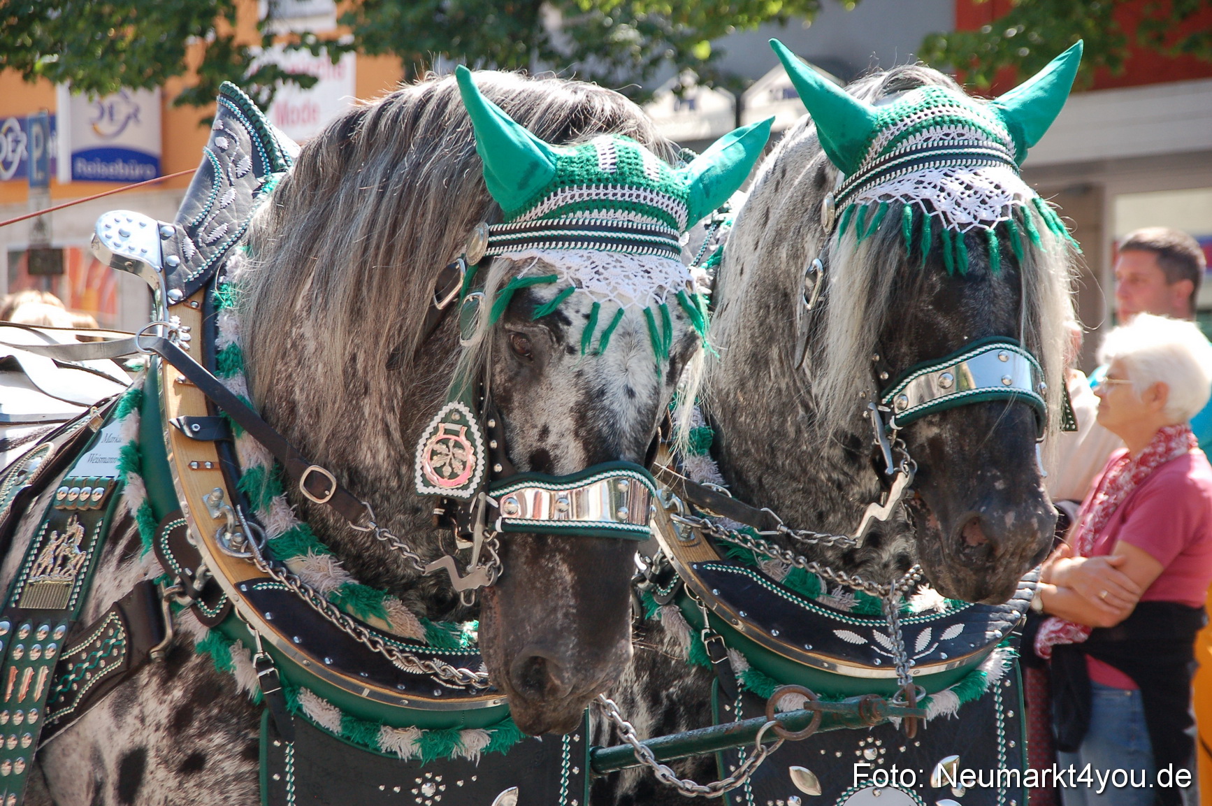 Volksfestzug Neumarkt 080810 0105