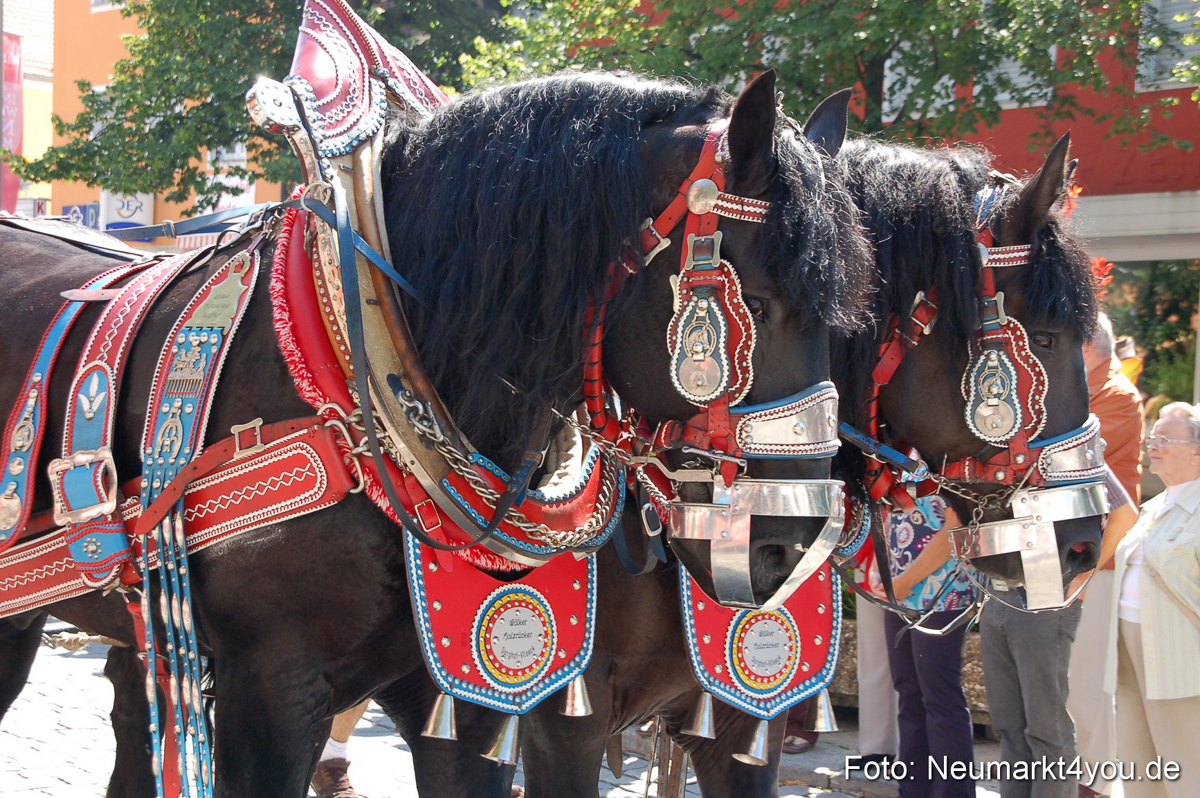 Volksfestzug Neumarkt 080810 0158