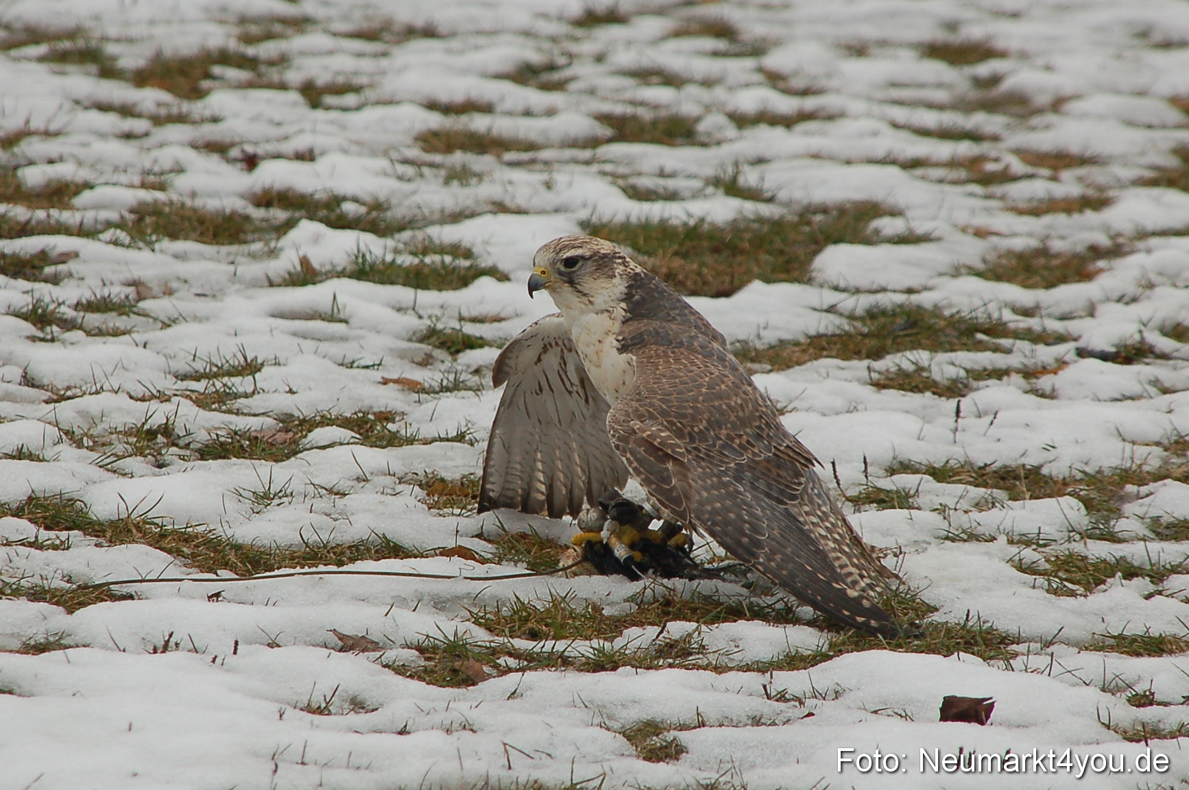 Lenzmond Festival 2010 0258