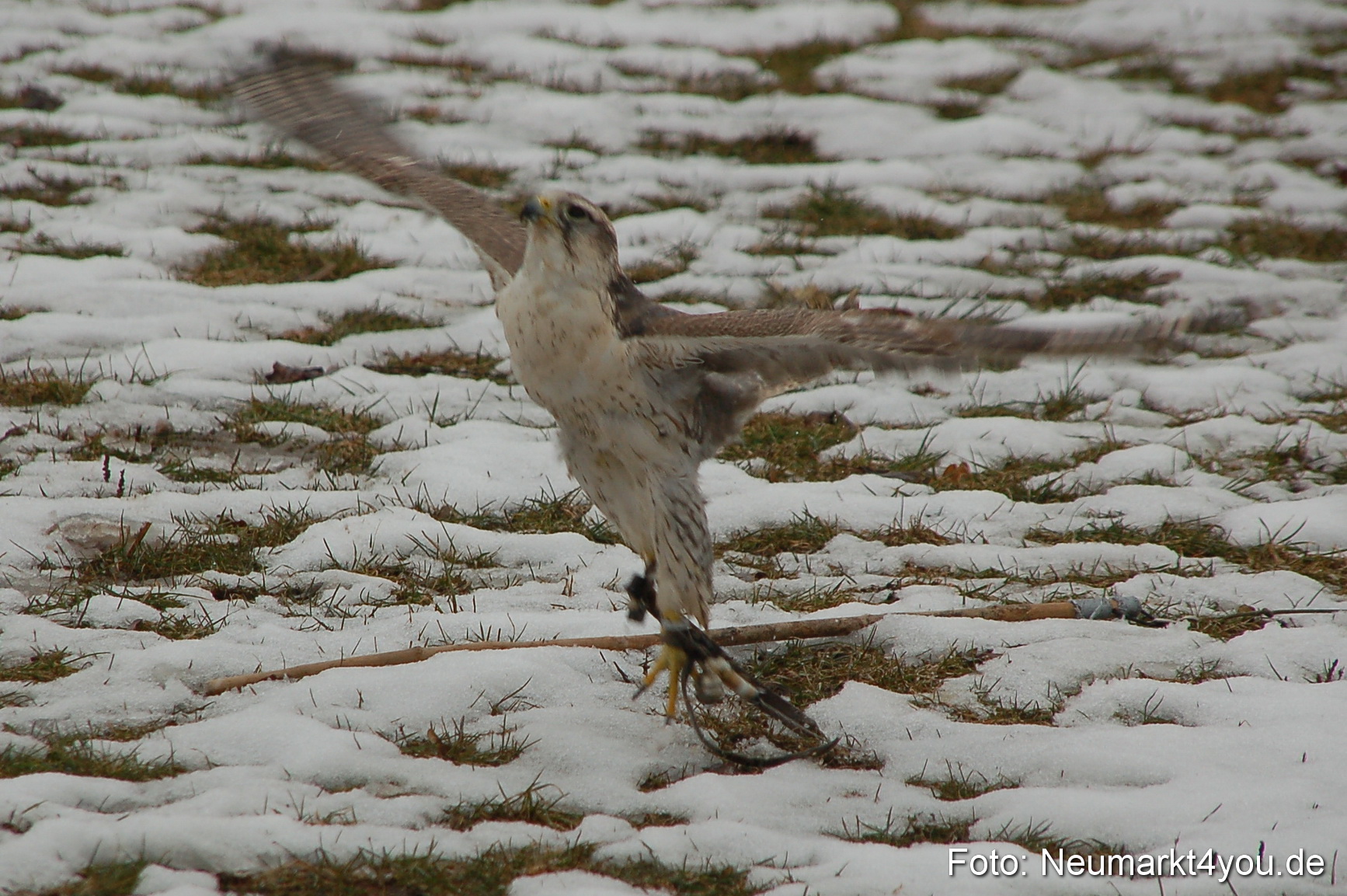 Lenzmond Festival 2010 0259