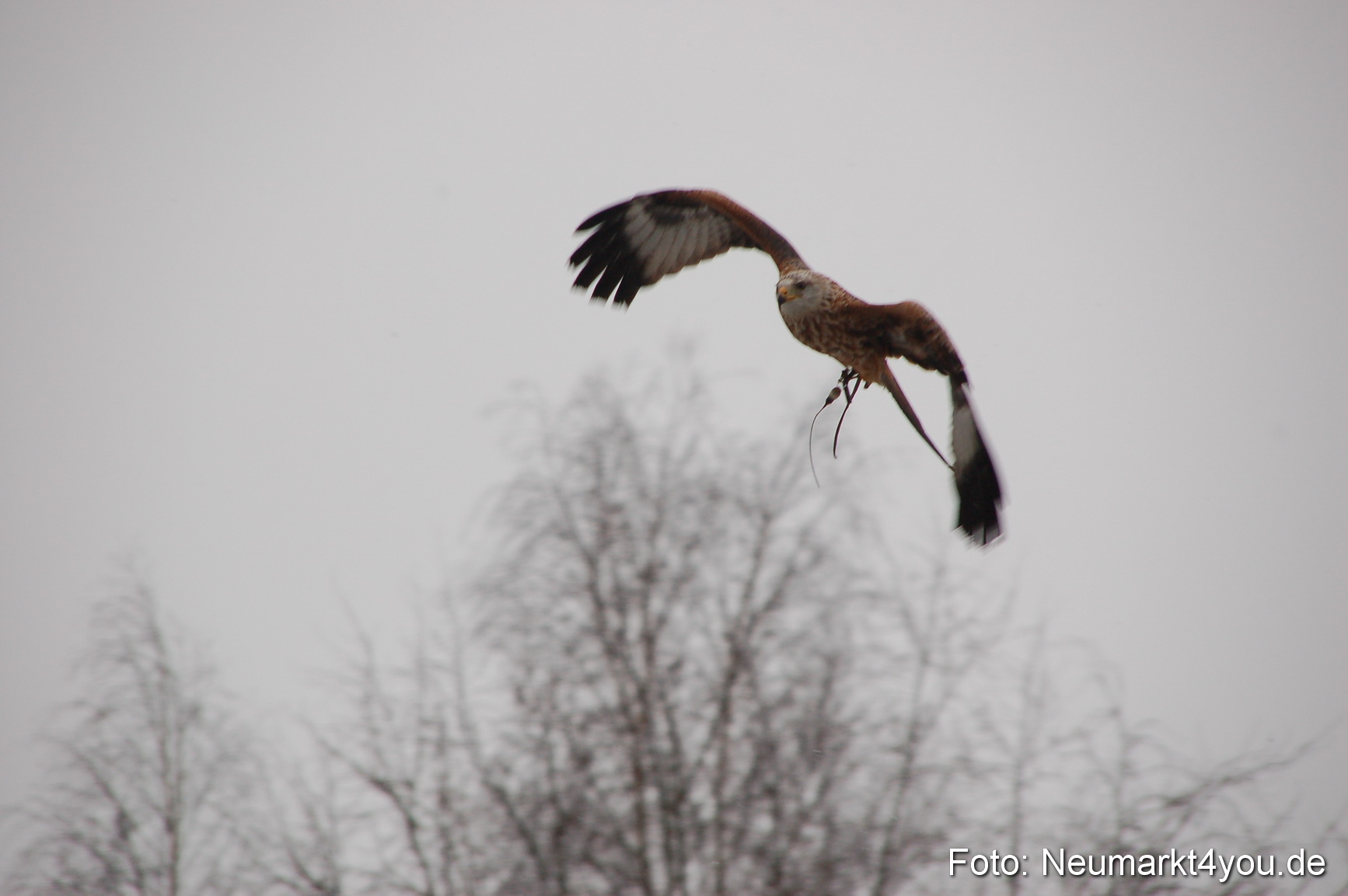 Lenzmond Festival 2010 0261