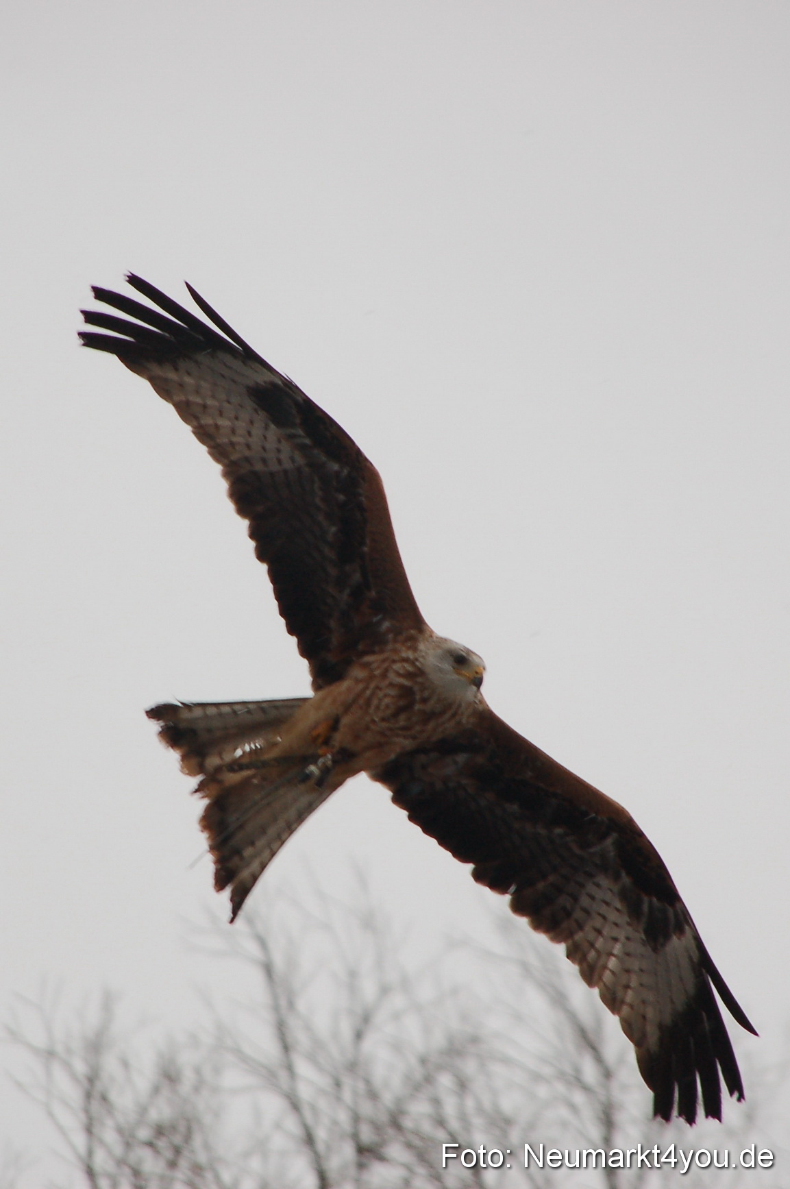Lenzmond Festival 2010 0262