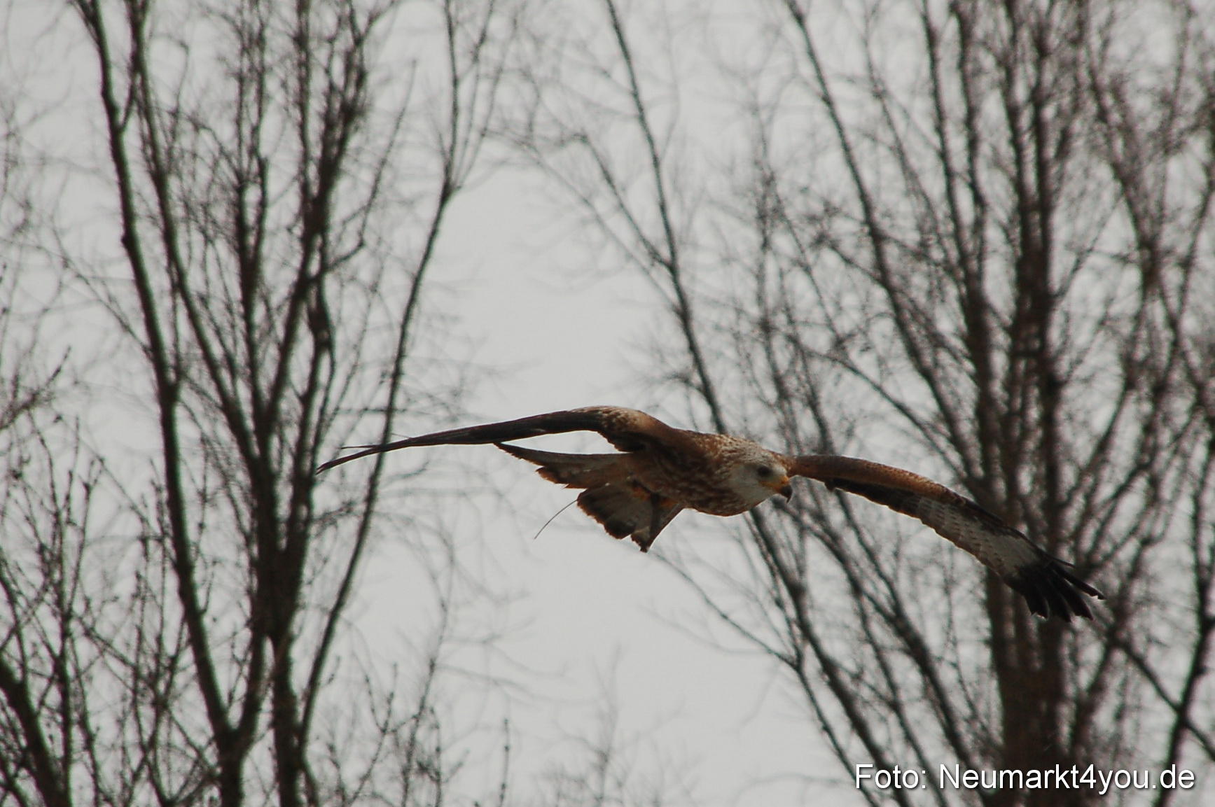 Lenzmond Festival 2010 0263