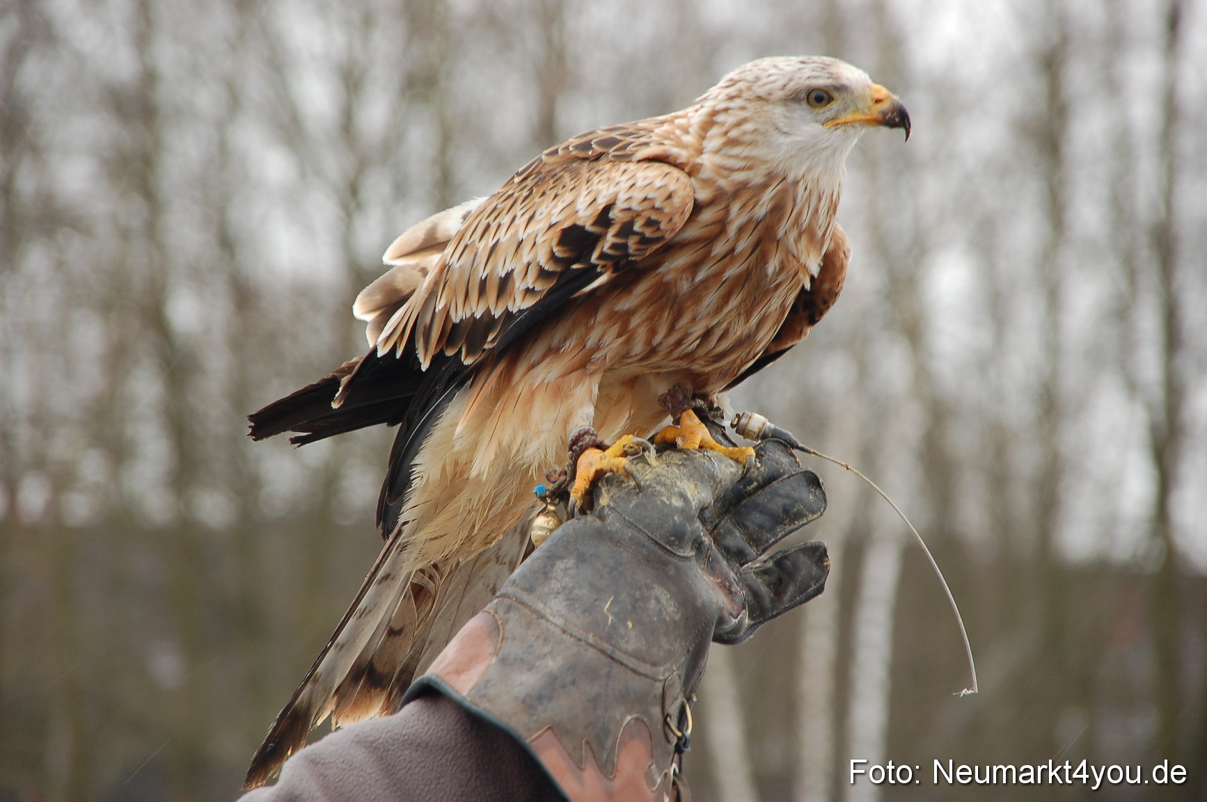 Lenzmond Festival 2010 0264