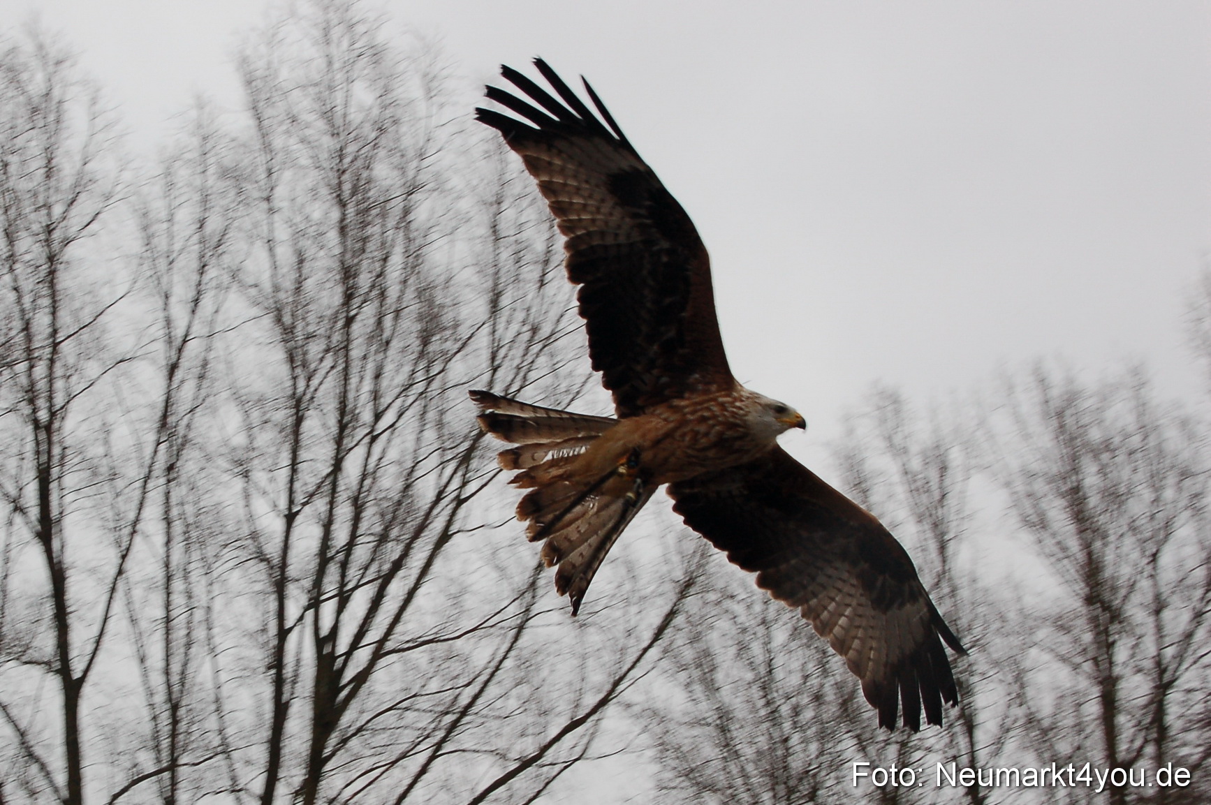 Lenzmond Festival 2010 0265