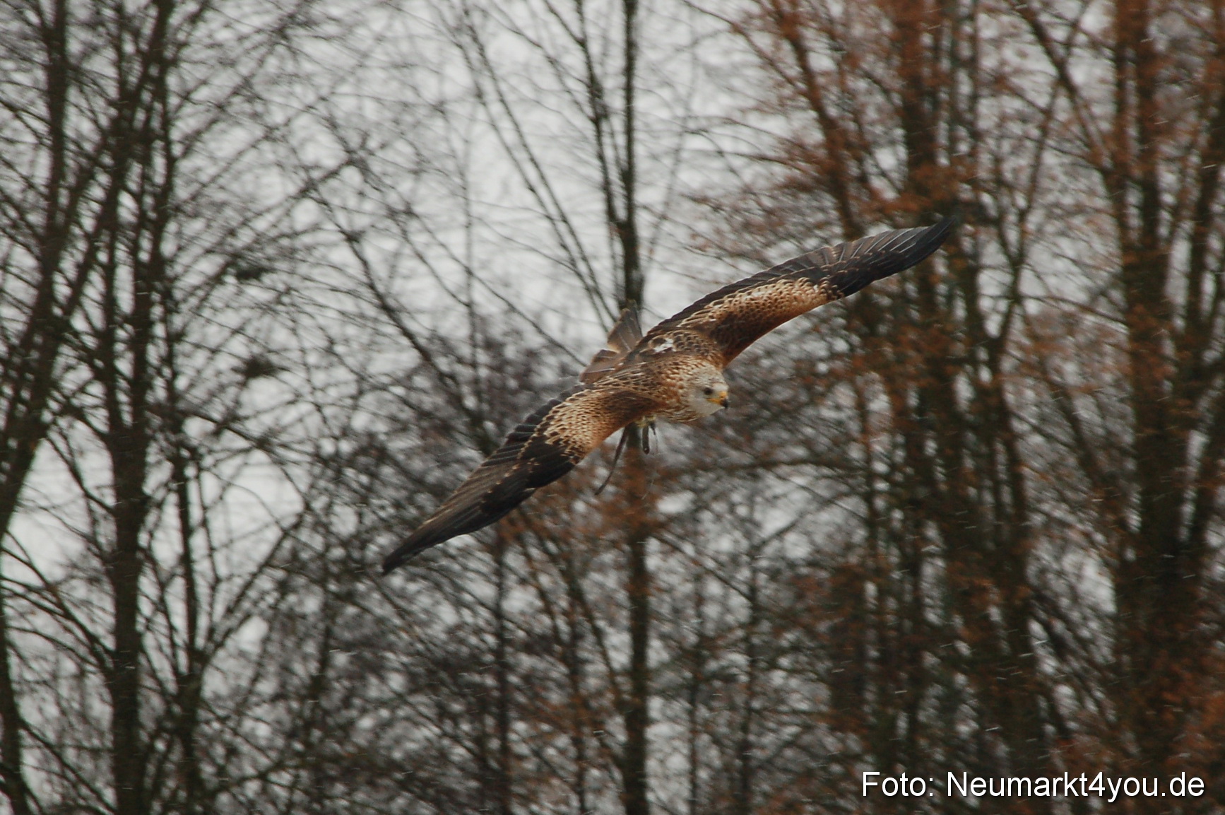 Lenzmond Festival 2010 0266