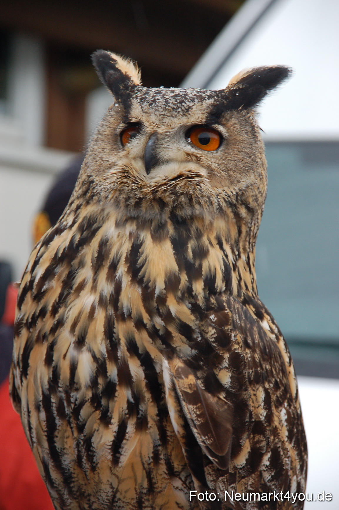 Lenzmond Festival 2010 0270