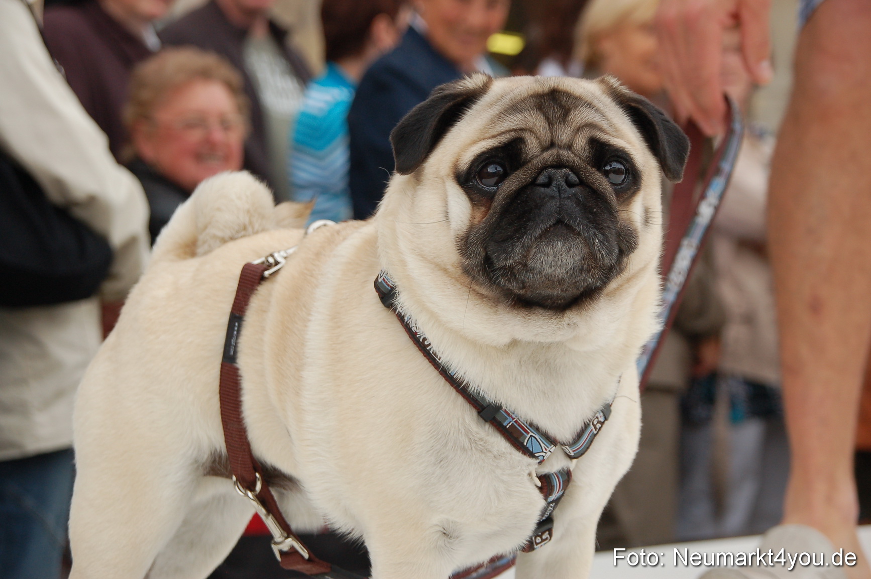Nacht der Sinne Neumarkt 080510 0105