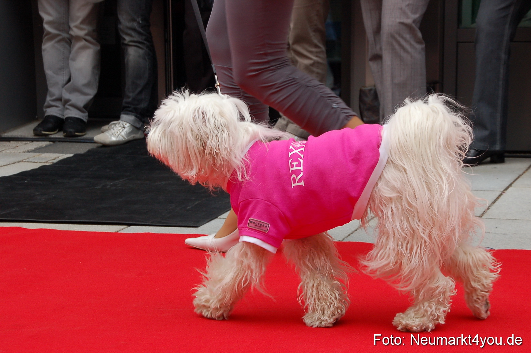 Nacht der Sinne Neumarkt 080510 0203